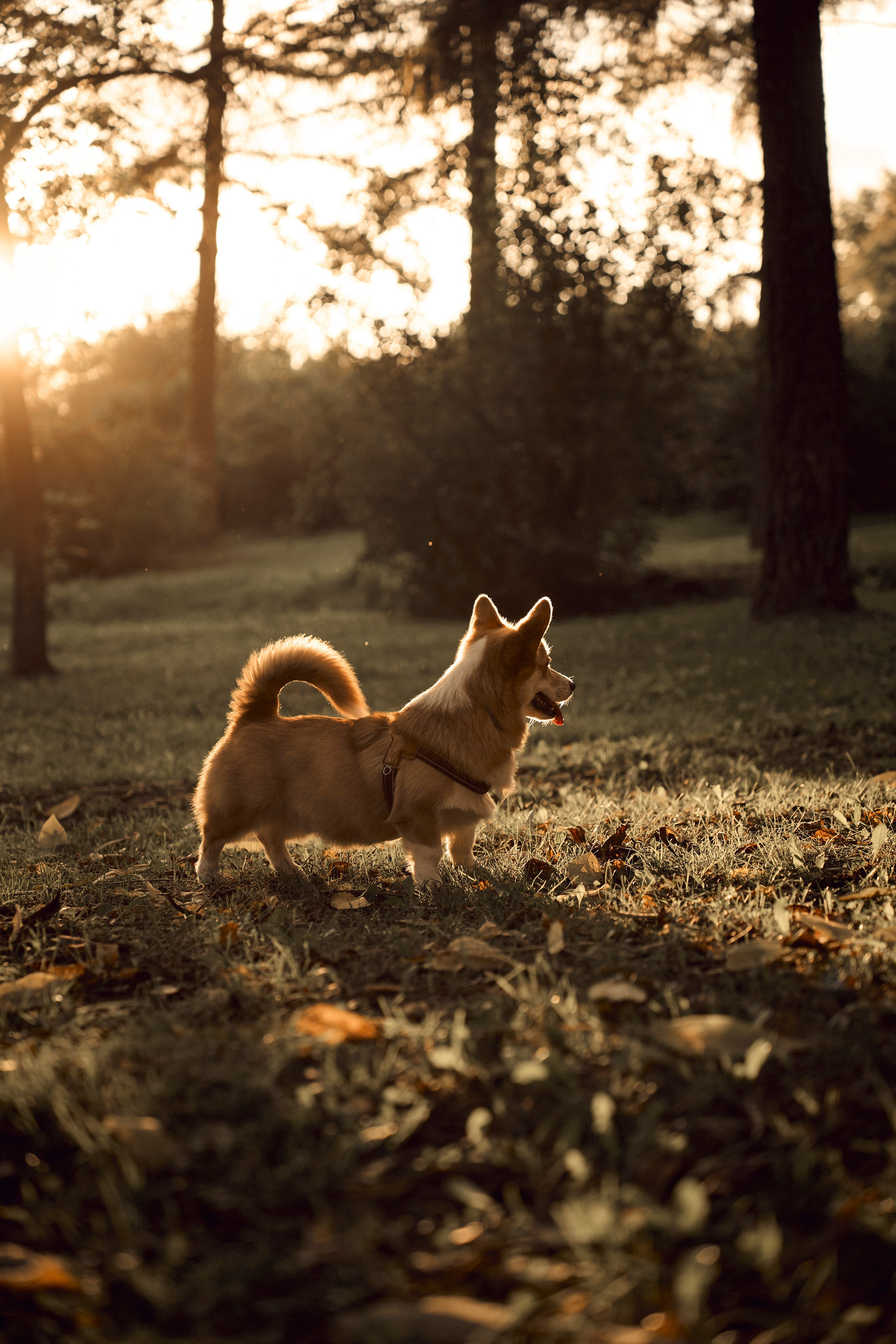 Марина. Ваш фотограф Анастасия Болотникова