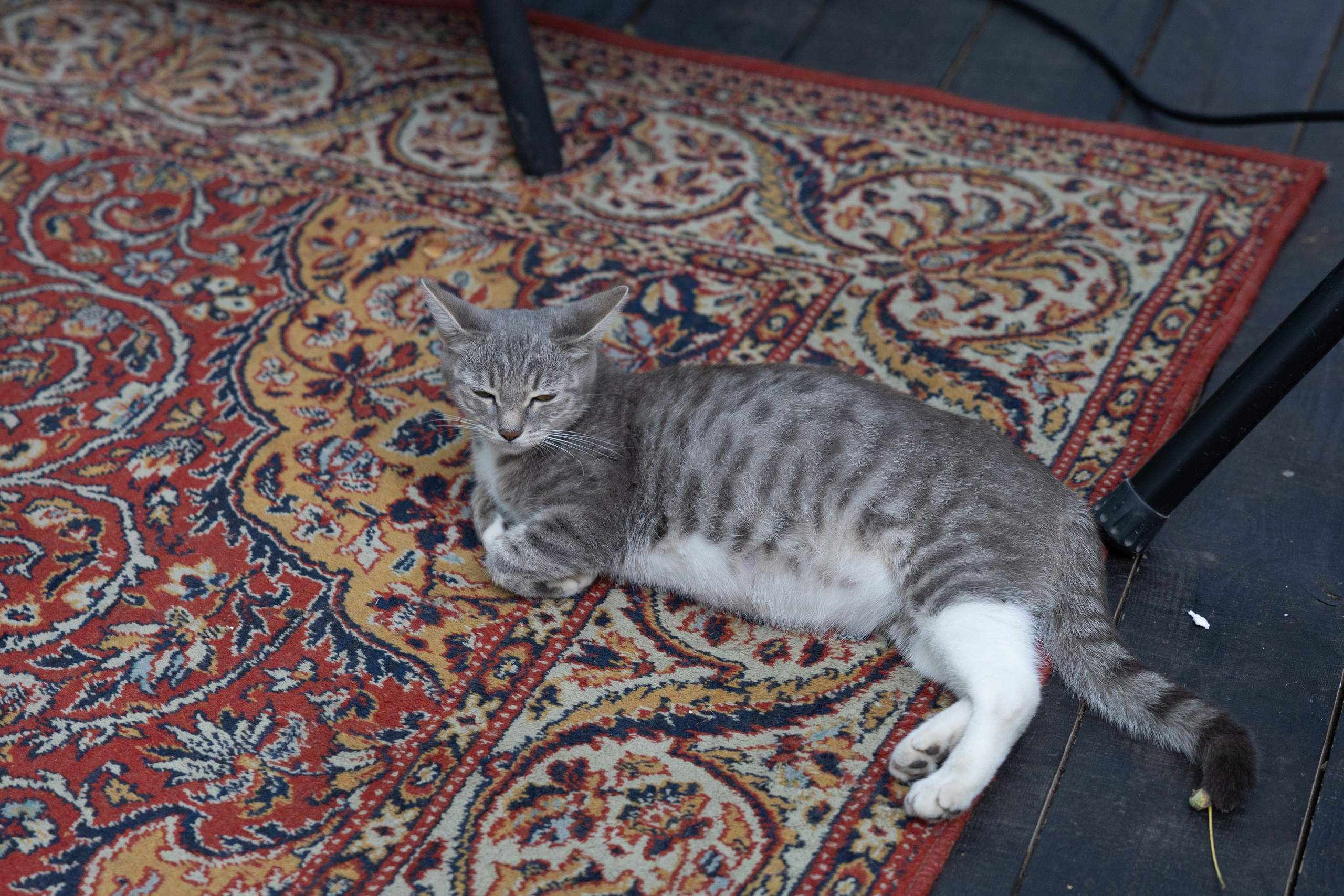 Мария и Матвей. Свадебный фотограф в Москве Наталья Струкова