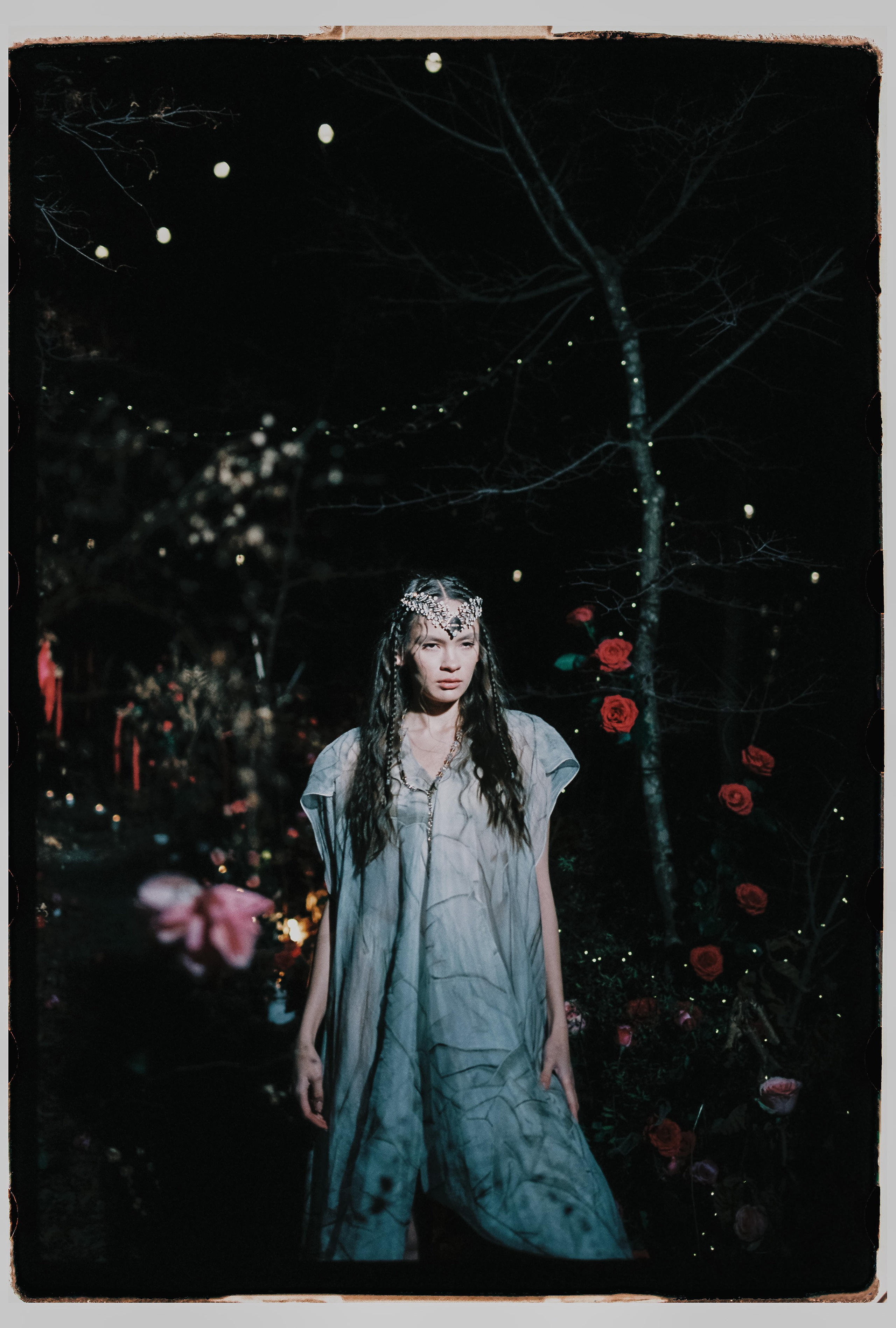 Лесной променад