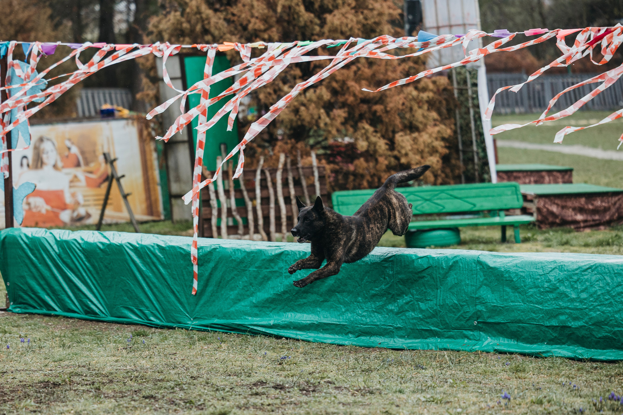 Геленджик Мондьоринг. Фотограф-анималист Анна Маринич
