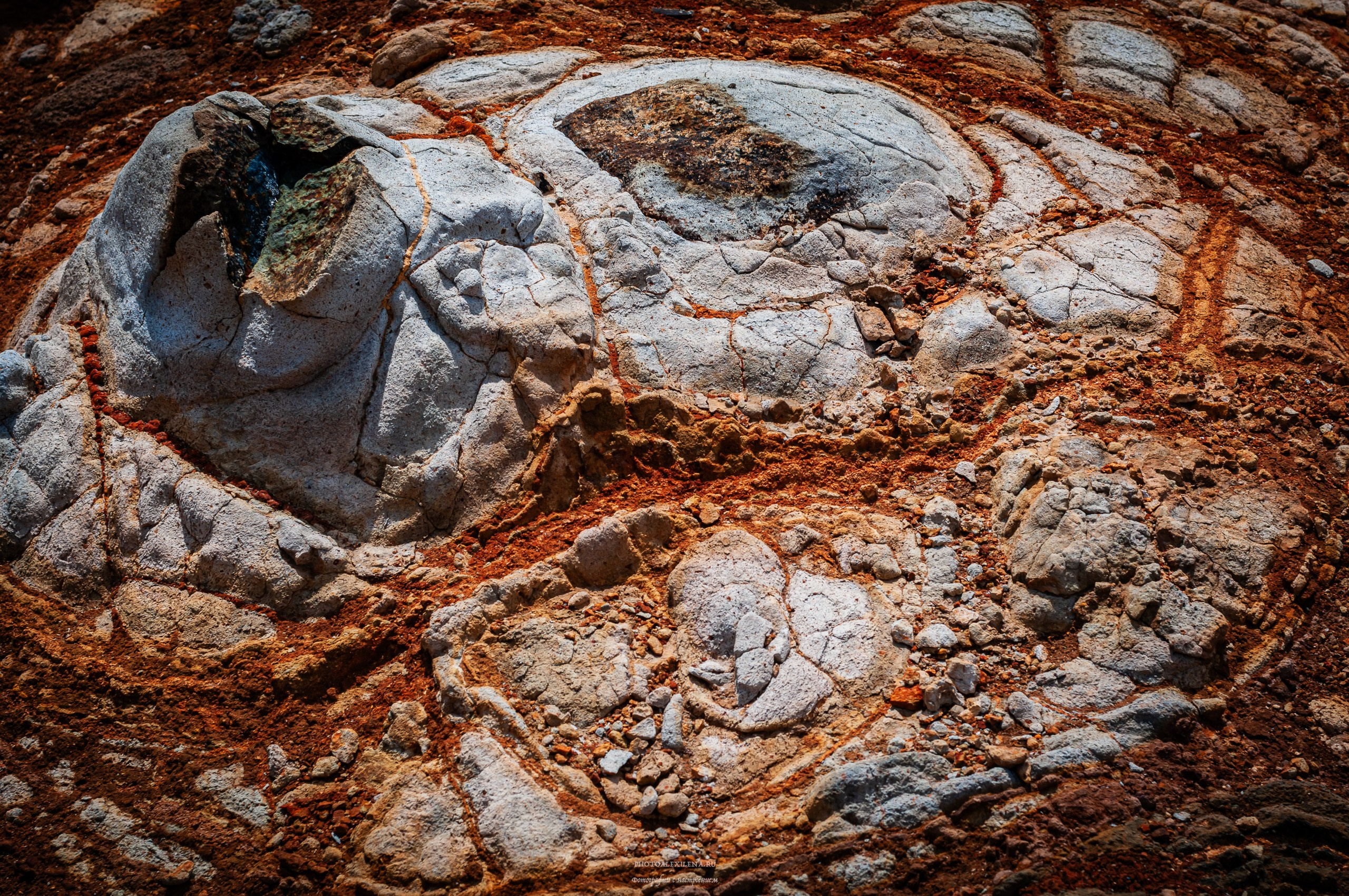 Осязаемая красота. Авторские стильные фотокартины