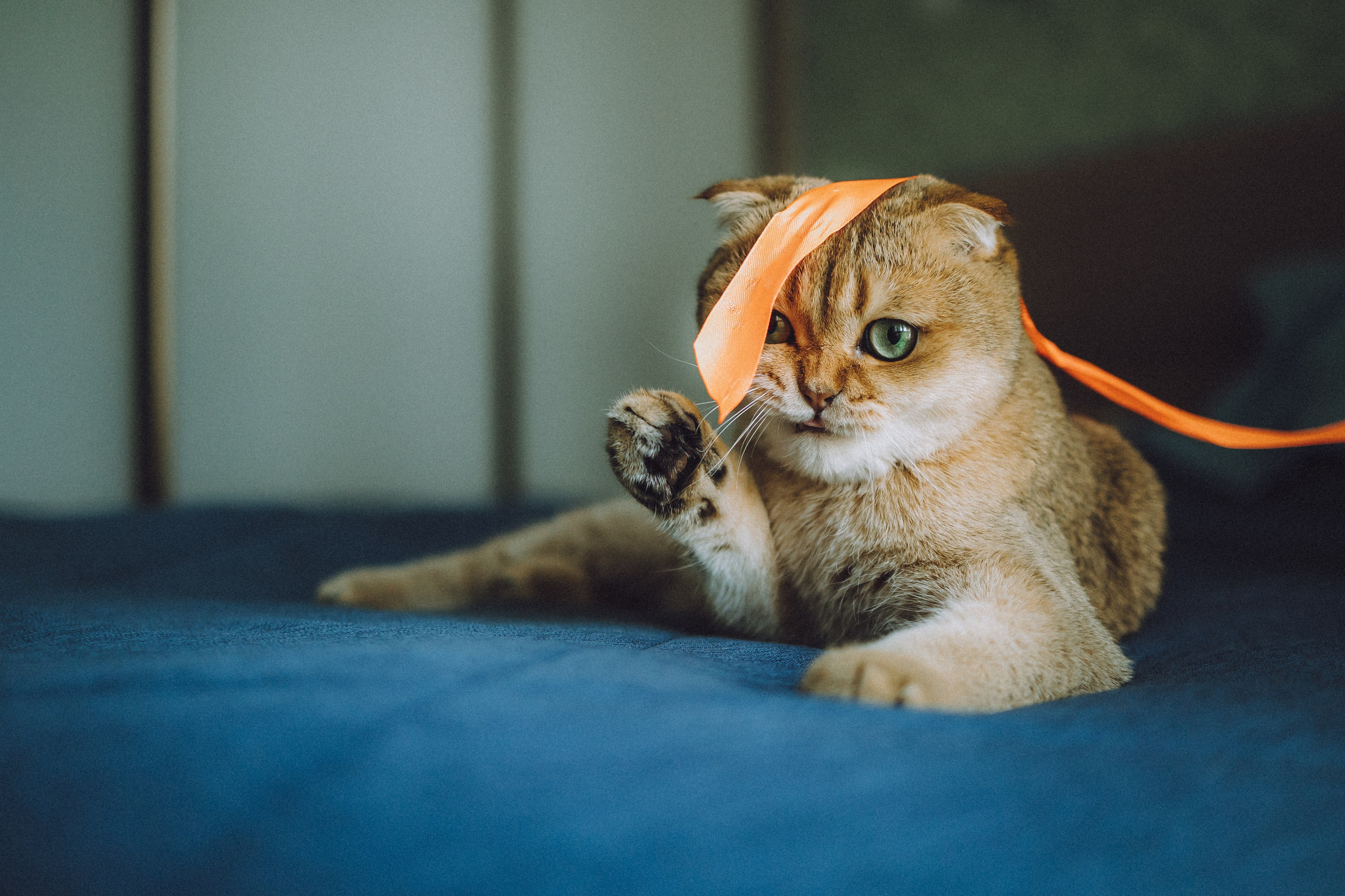 Генри и его семья