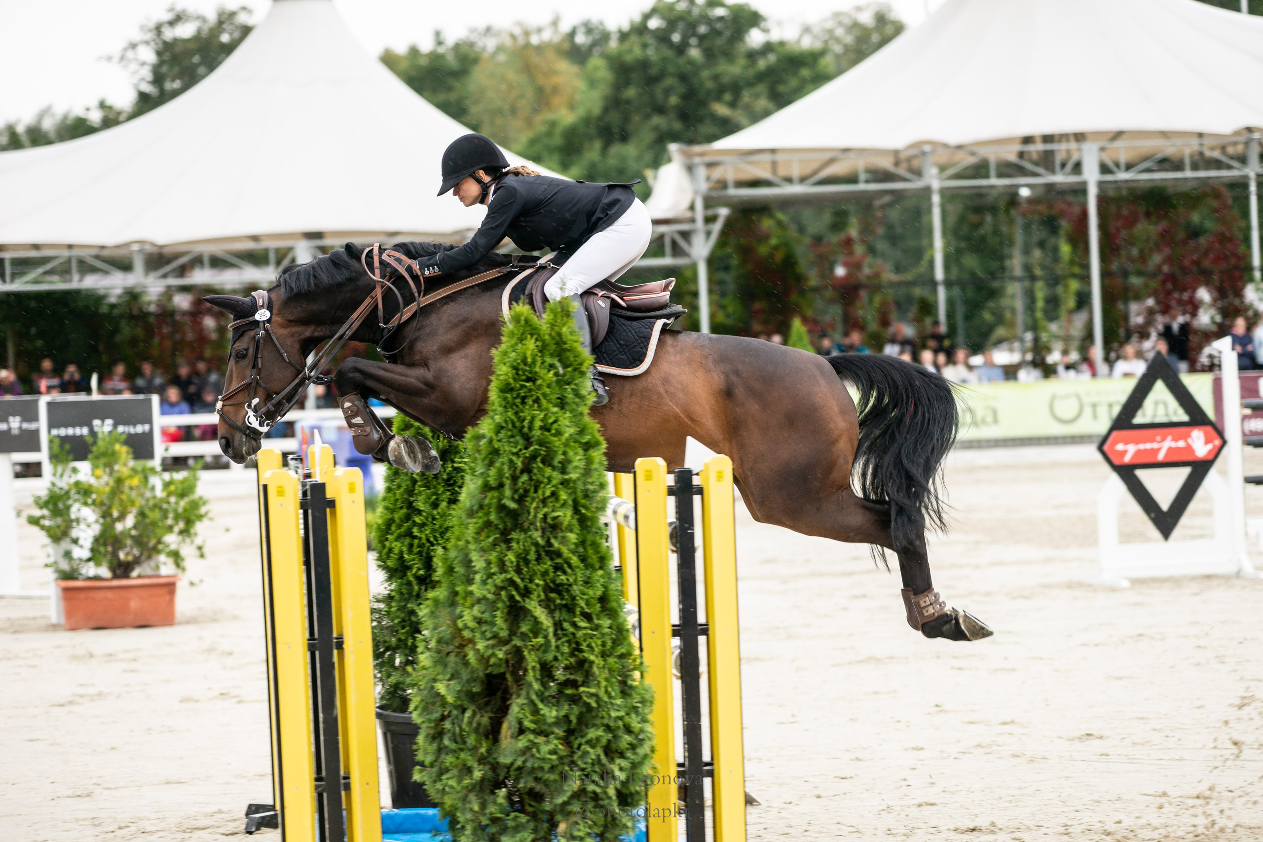 HORSE JUMPING. Фотограф Наталья Леонова