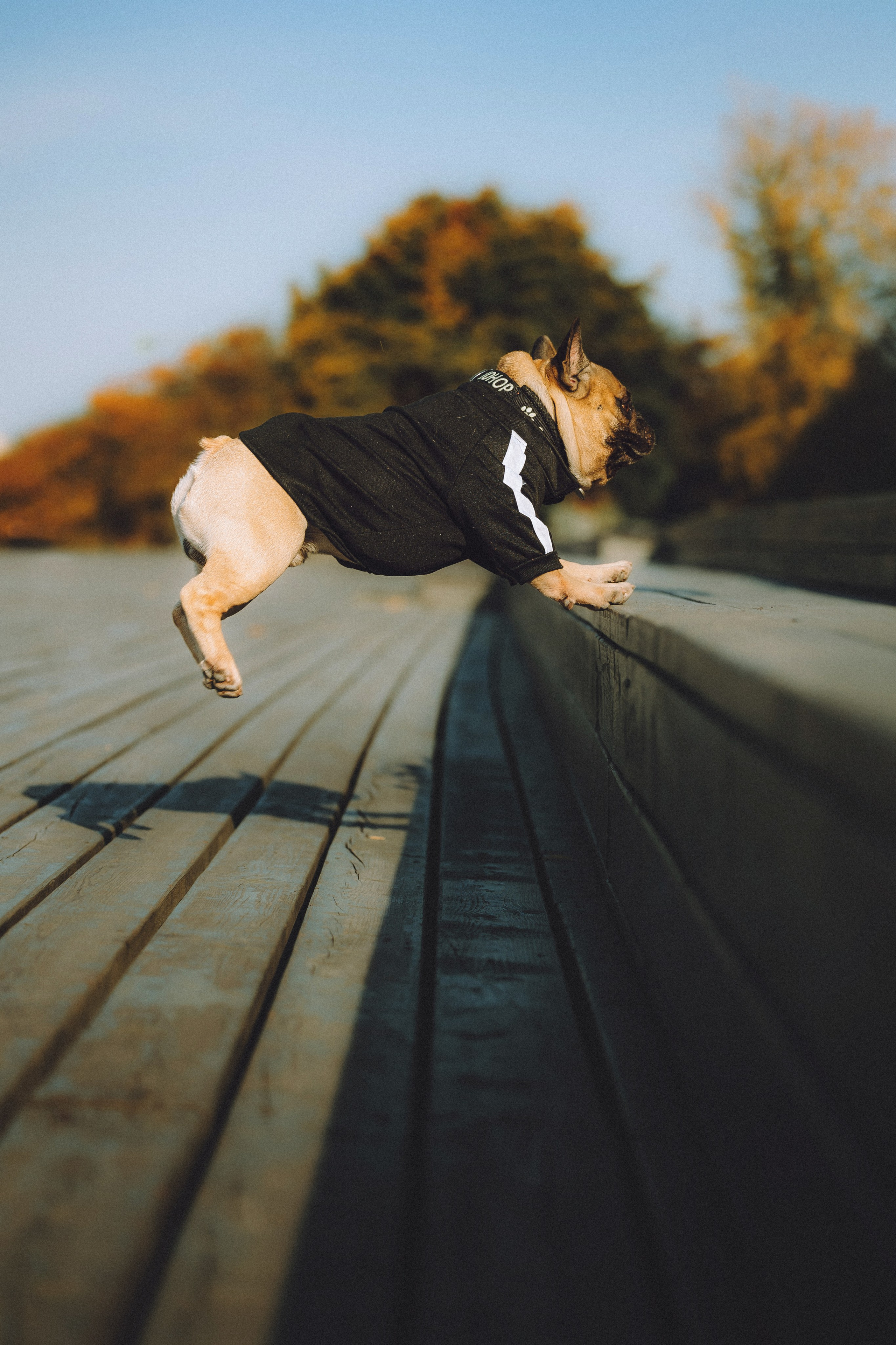 Настя, Женя и Хонор