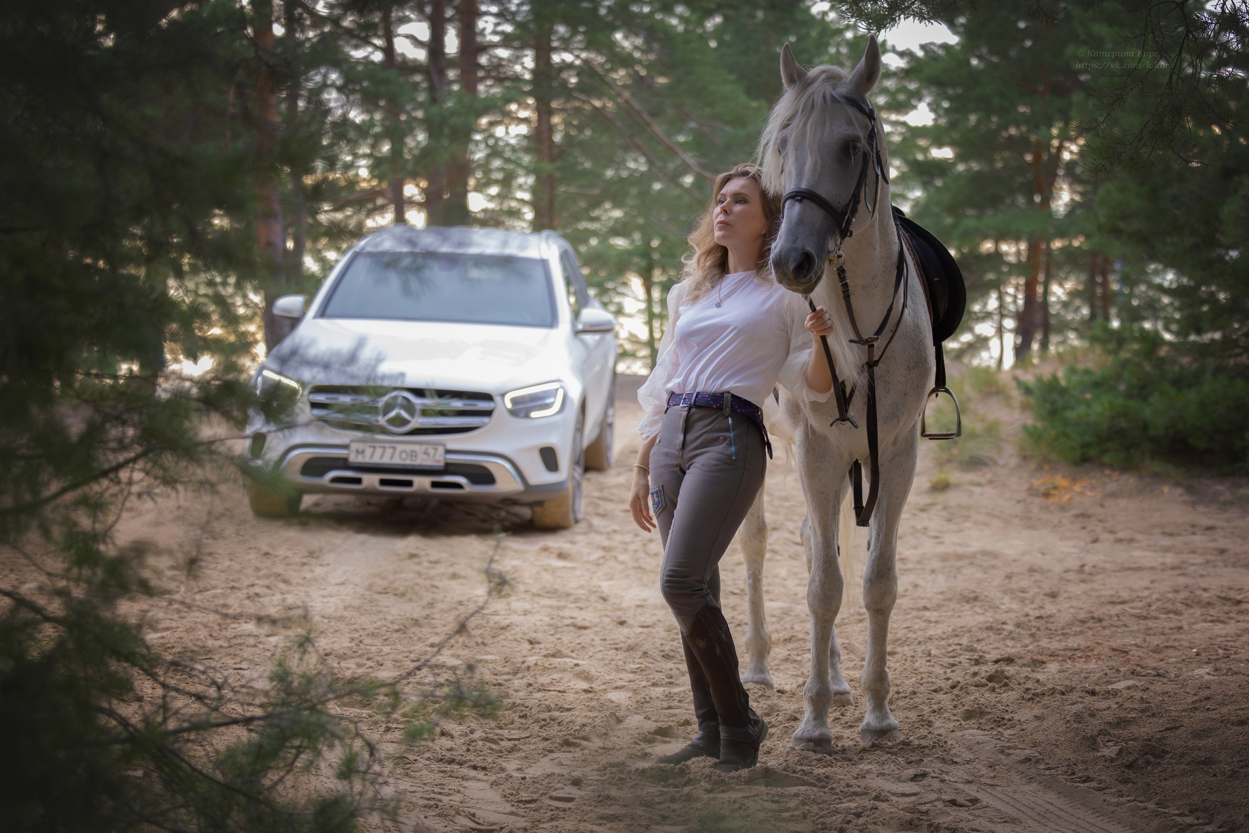 Лошади и люди. Главная