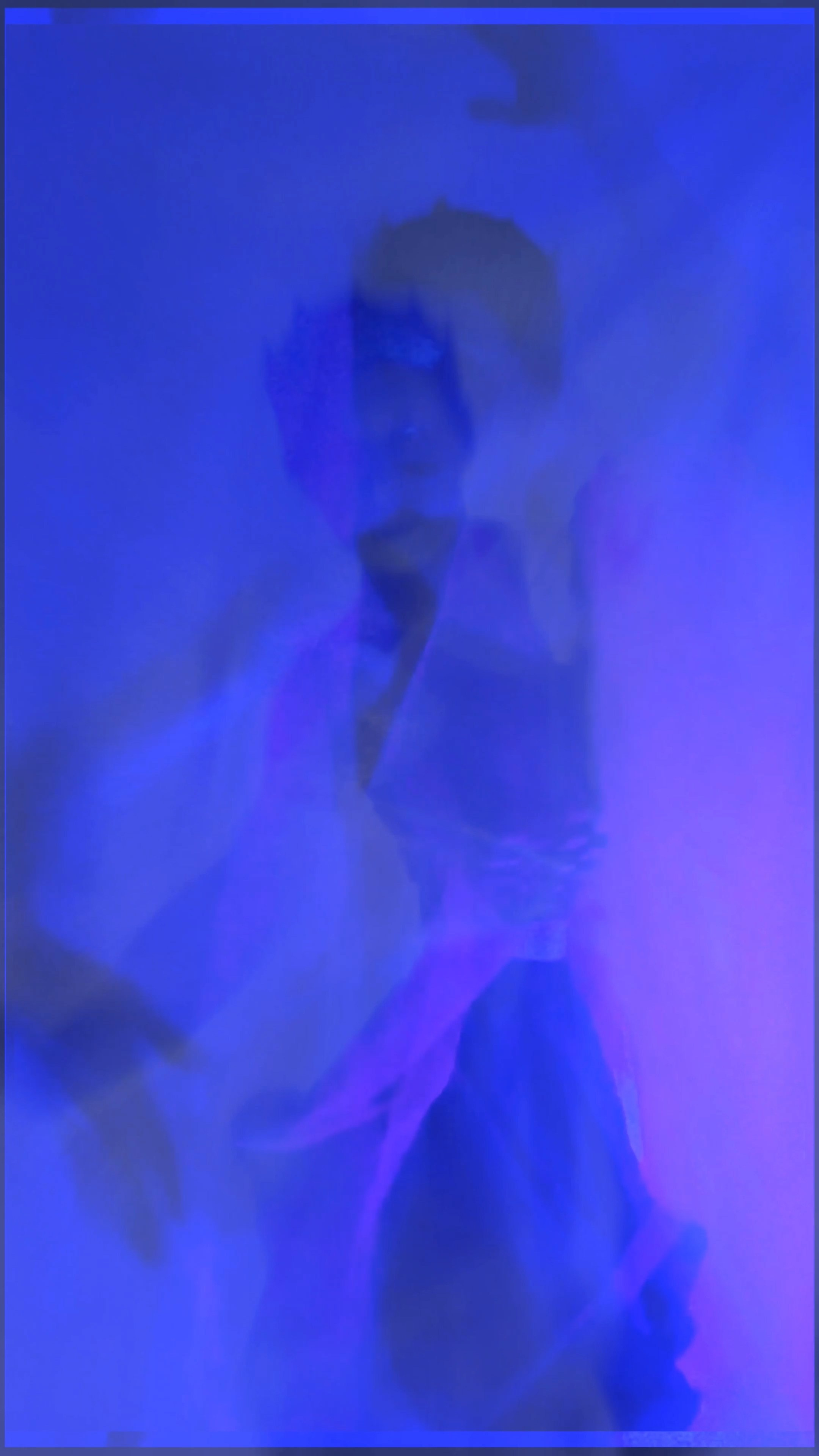 THE SAPPHIRE VEIL. Exclusive Closing Gifts for Top Realtors | Custom House Portraits by Yulia Yurchevskaya