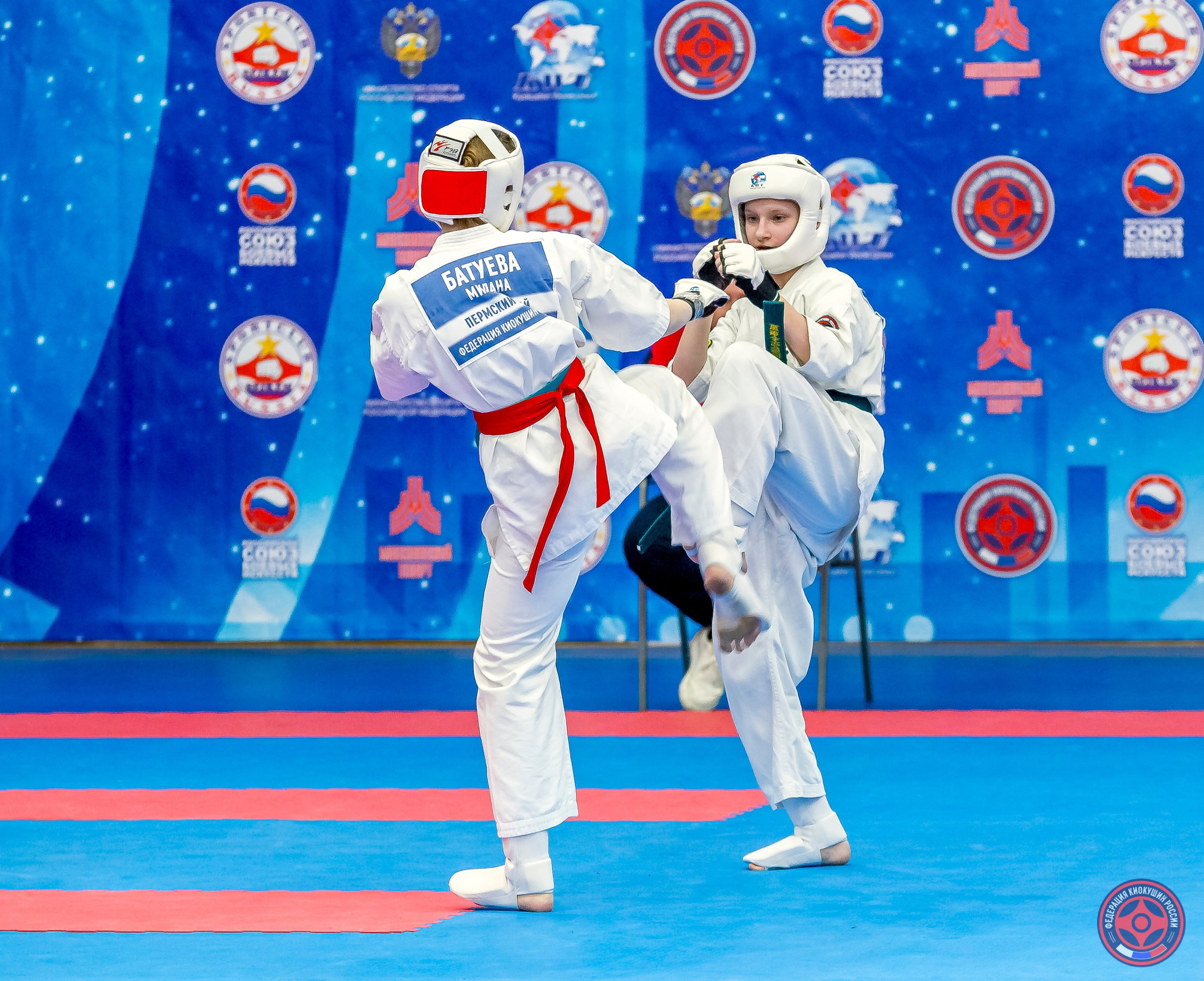 Международный турнир по киокушин «Открытый кубок Seiken». Репортажная съемка в Москве и области. Анималистика