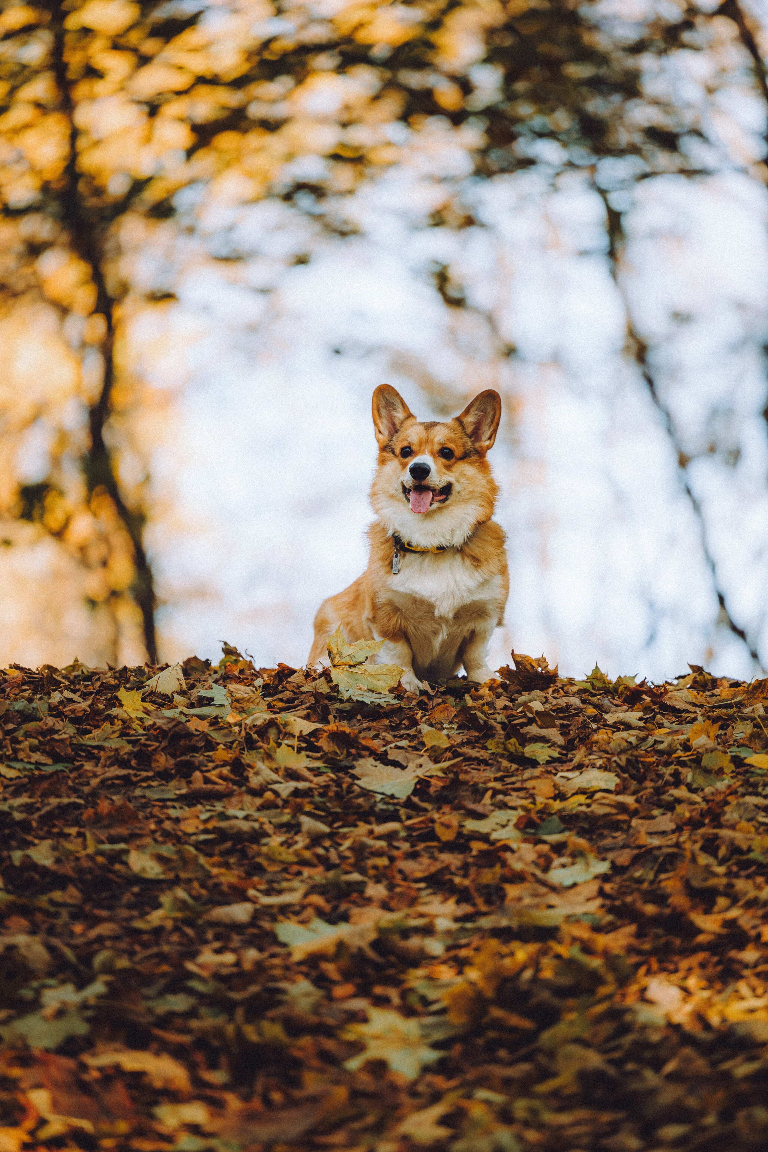 Карина, Даня и Аркаша