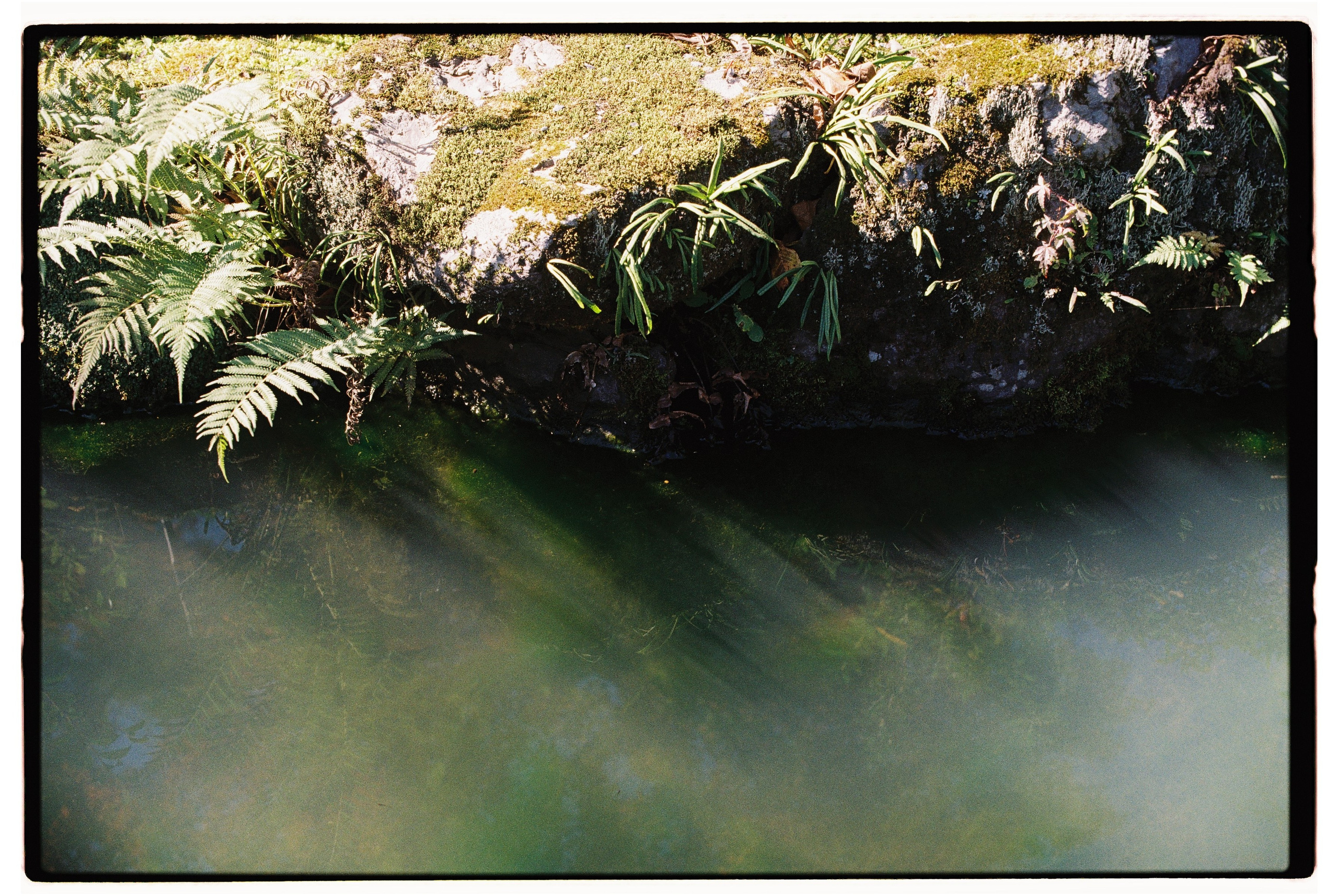 Asia. Olya Filina | Moscow Photographer