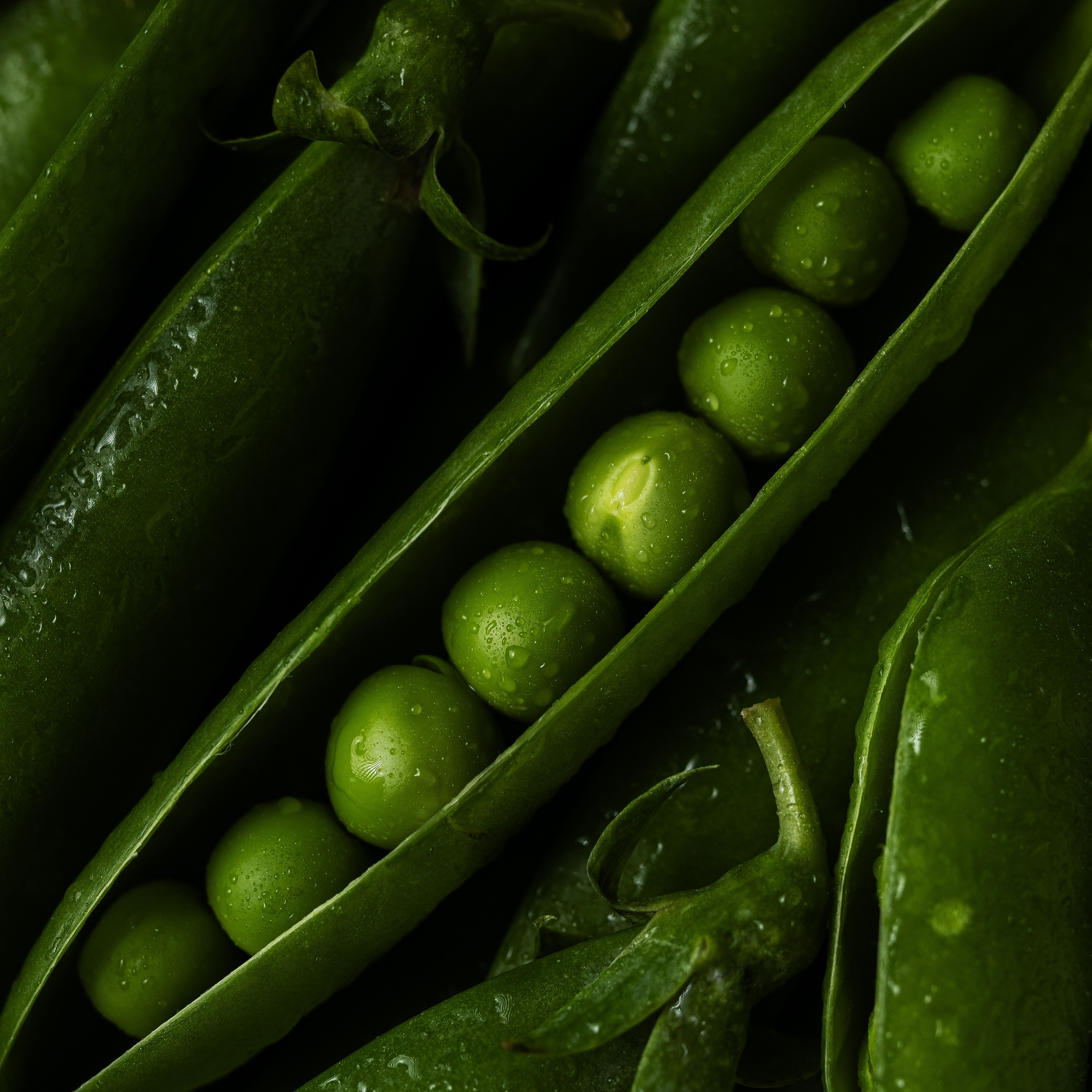 Макросъёмка продуктов. Фуд-фотограф и предметный фотограф в Москве Анна Первова