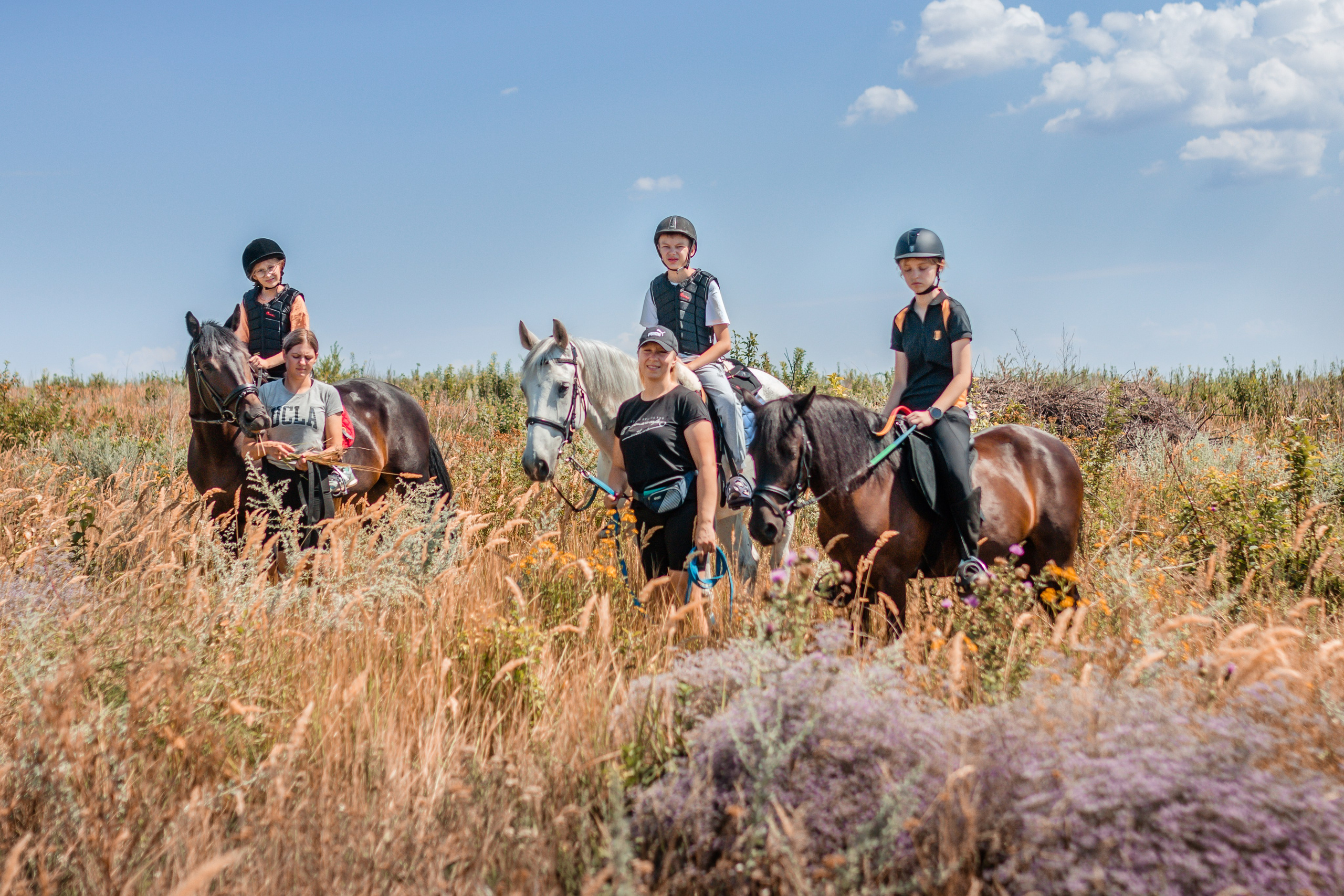 Выезды в поля на лошади