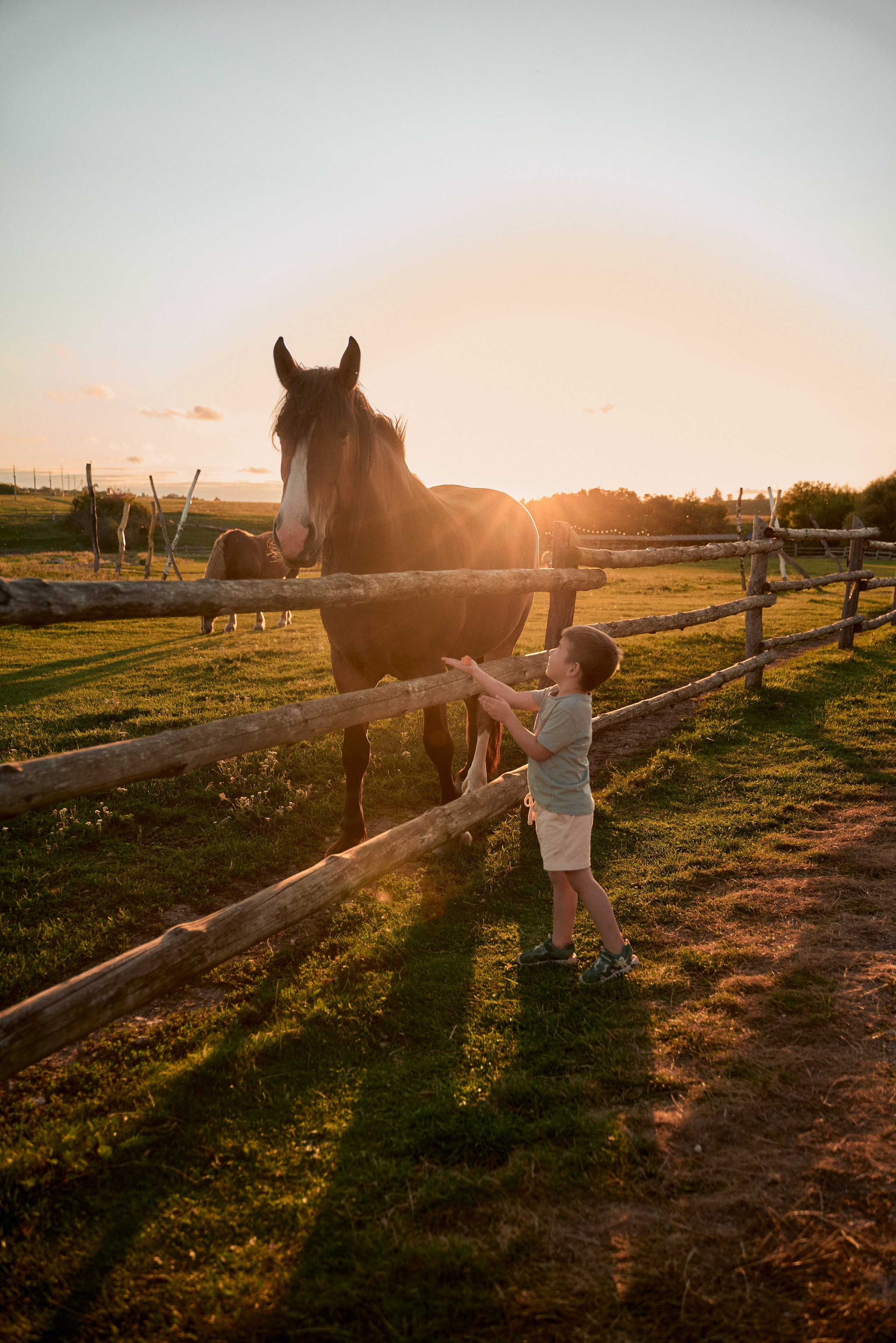 Семейный фотограф в Воронеже