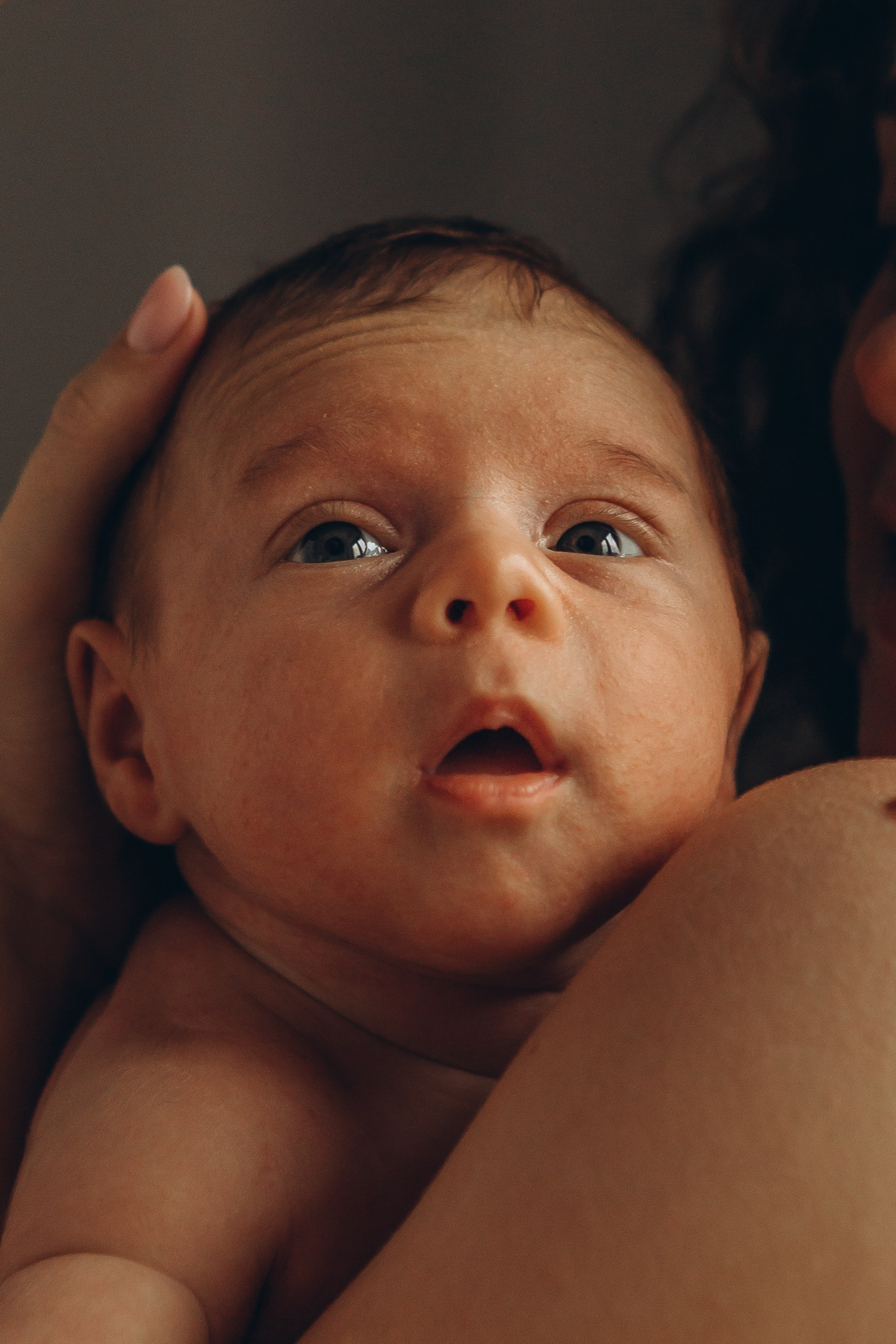 Мама бережно придерживает голову новорожденного младенца на руках. Семейная фотосессия в Санкт-Петербурге.