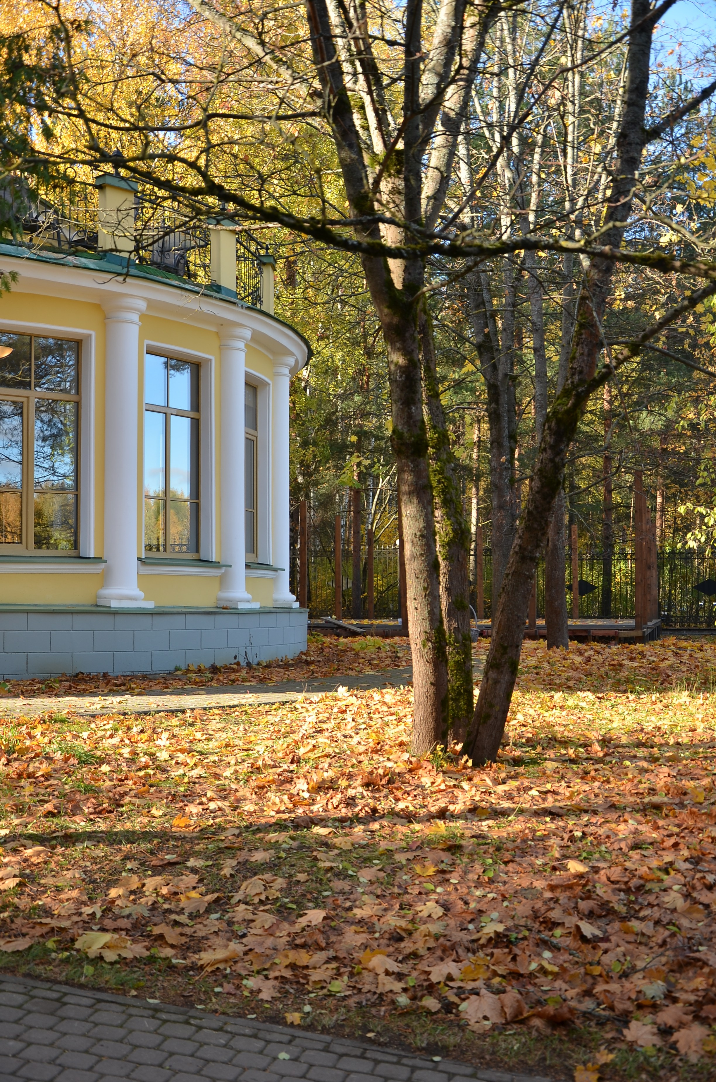 Природа и анималистика. Добро пожаловать на мой сайт, меня зовут Наталия, я фотограф