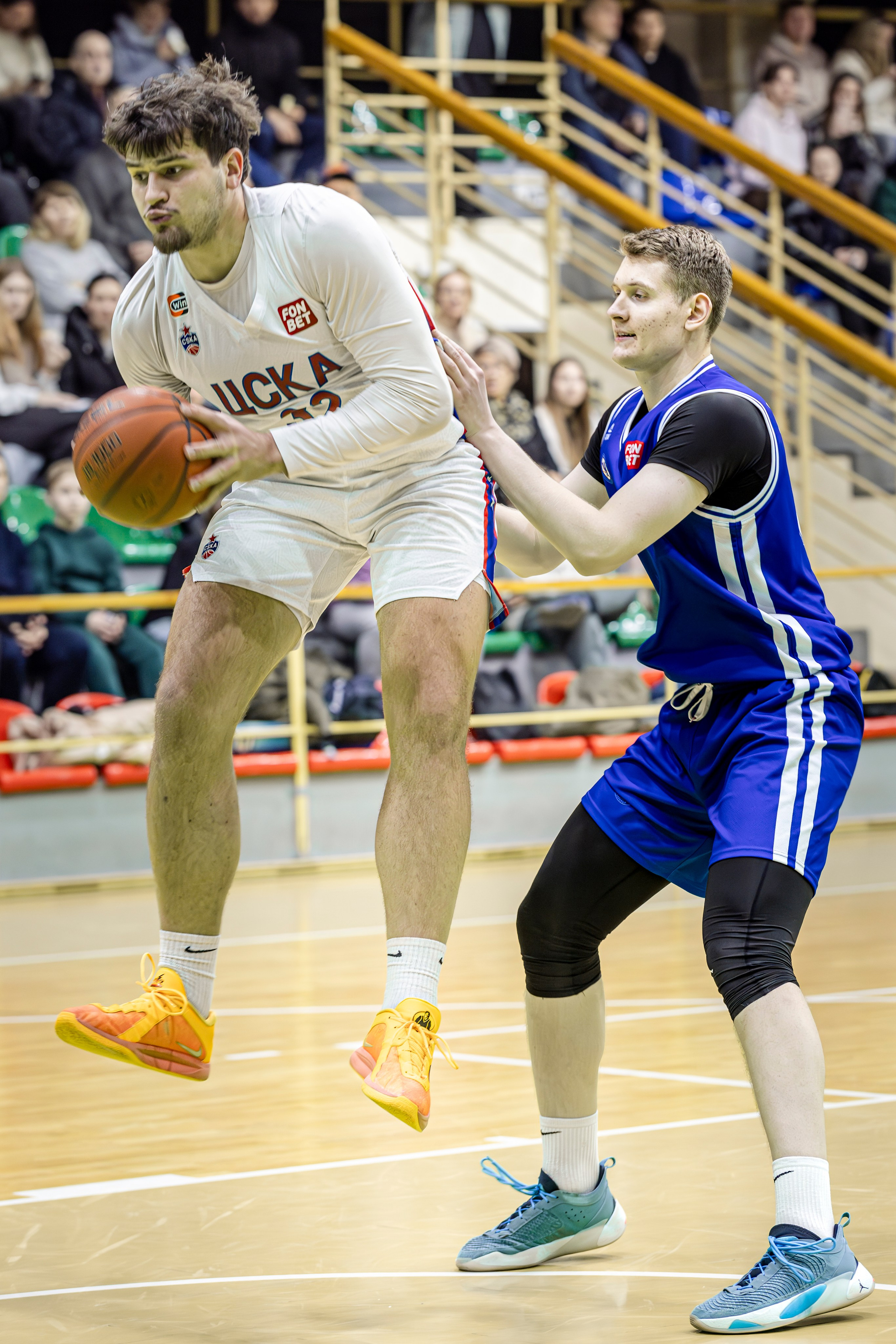 БК Новосибирск. Bertran Ordo