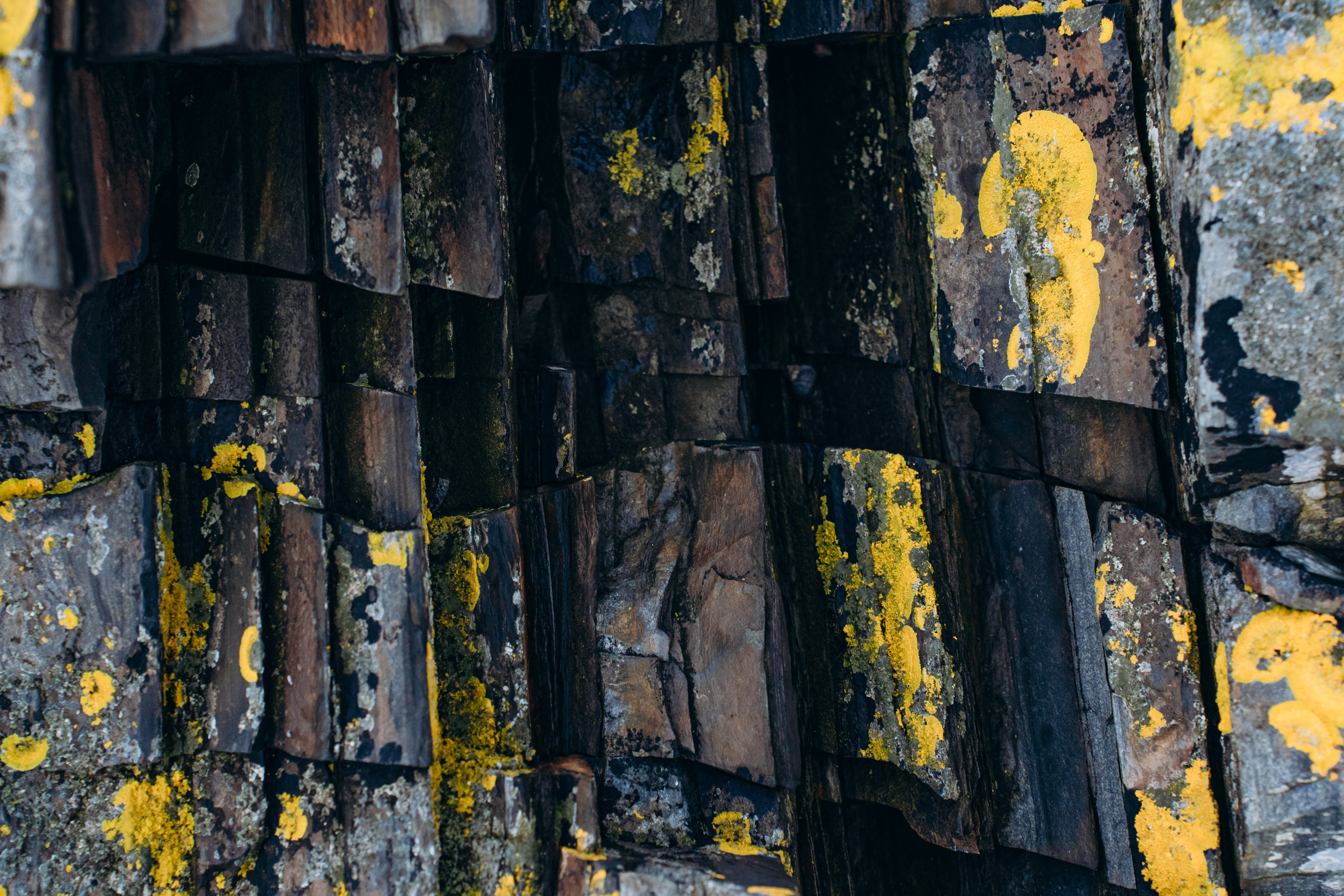 СЕВЕР. Event фотограф Степанова Александра