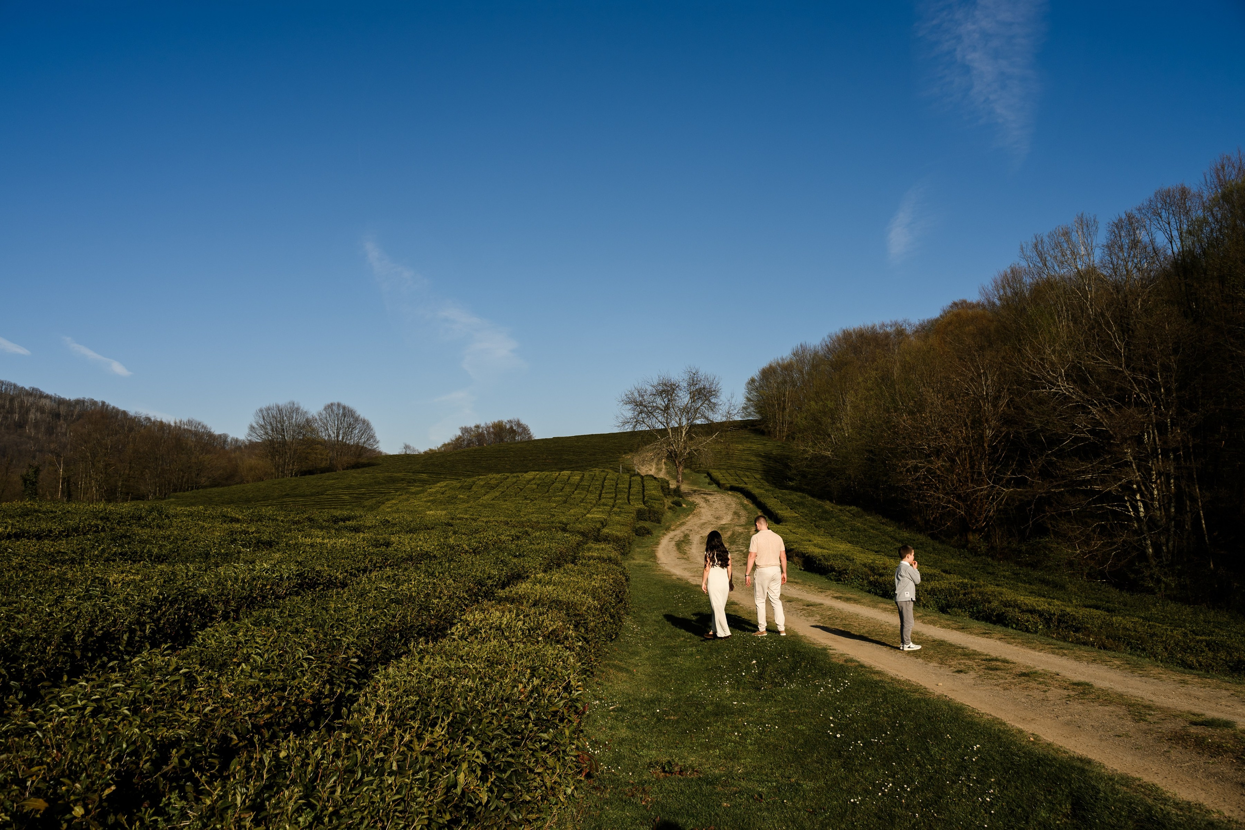 Гендер Пати. Фотограф в сочи Свадебный фотограф Сочи