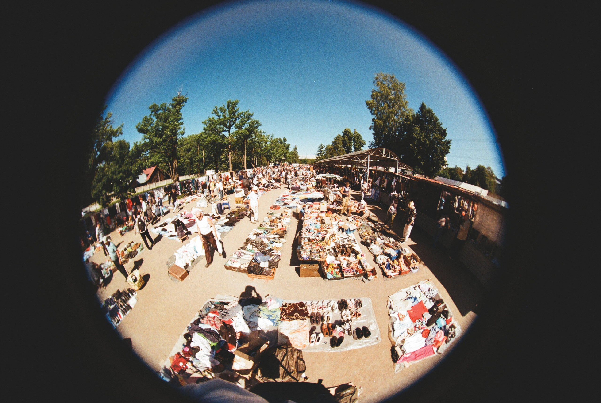 Фотографии цветные. Свадебный и семейный пленочный фотограф в Петербурге Истомина Ирина