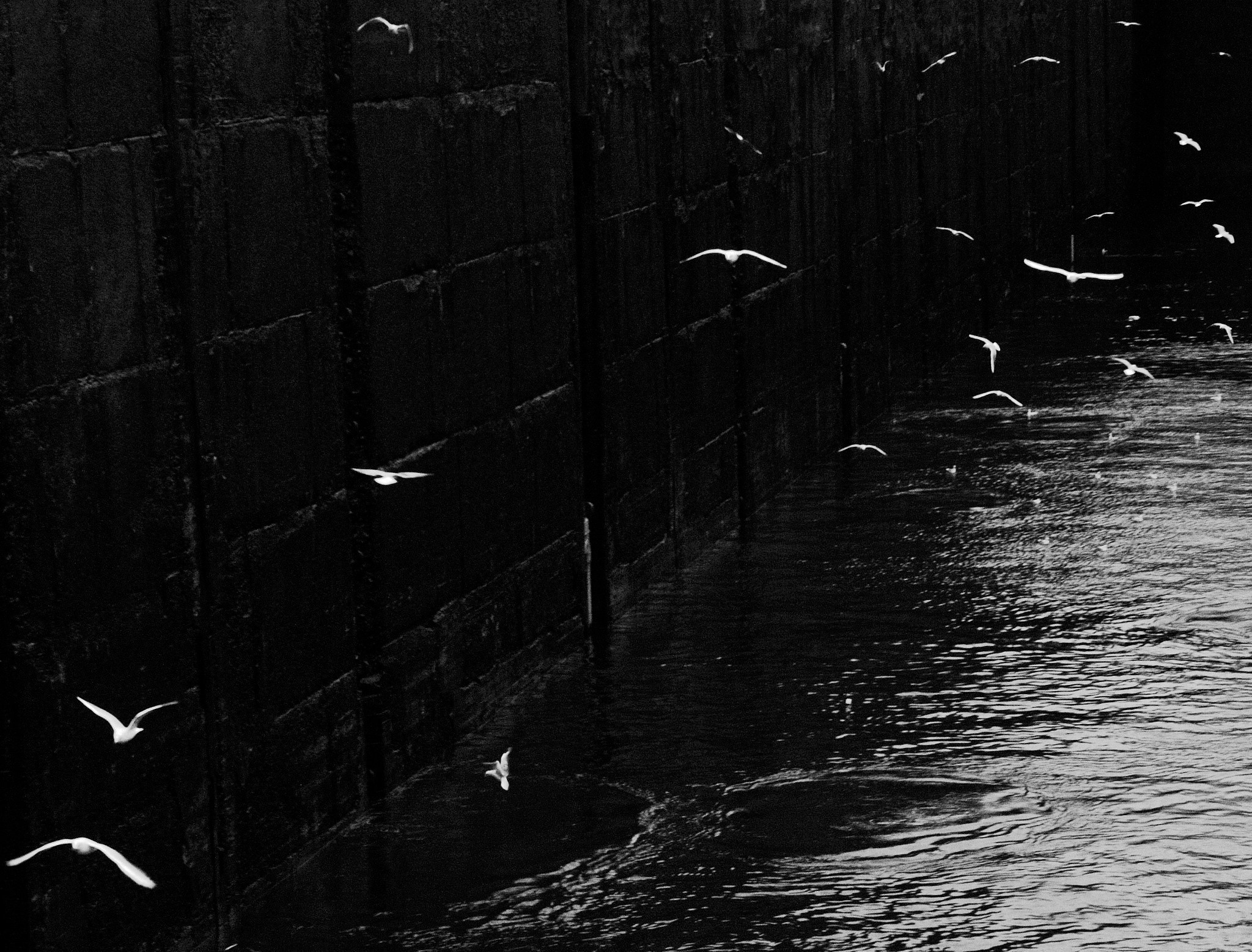 Пейзаж. Фотограф и видеооператор из Москвы Алексей Черкасов