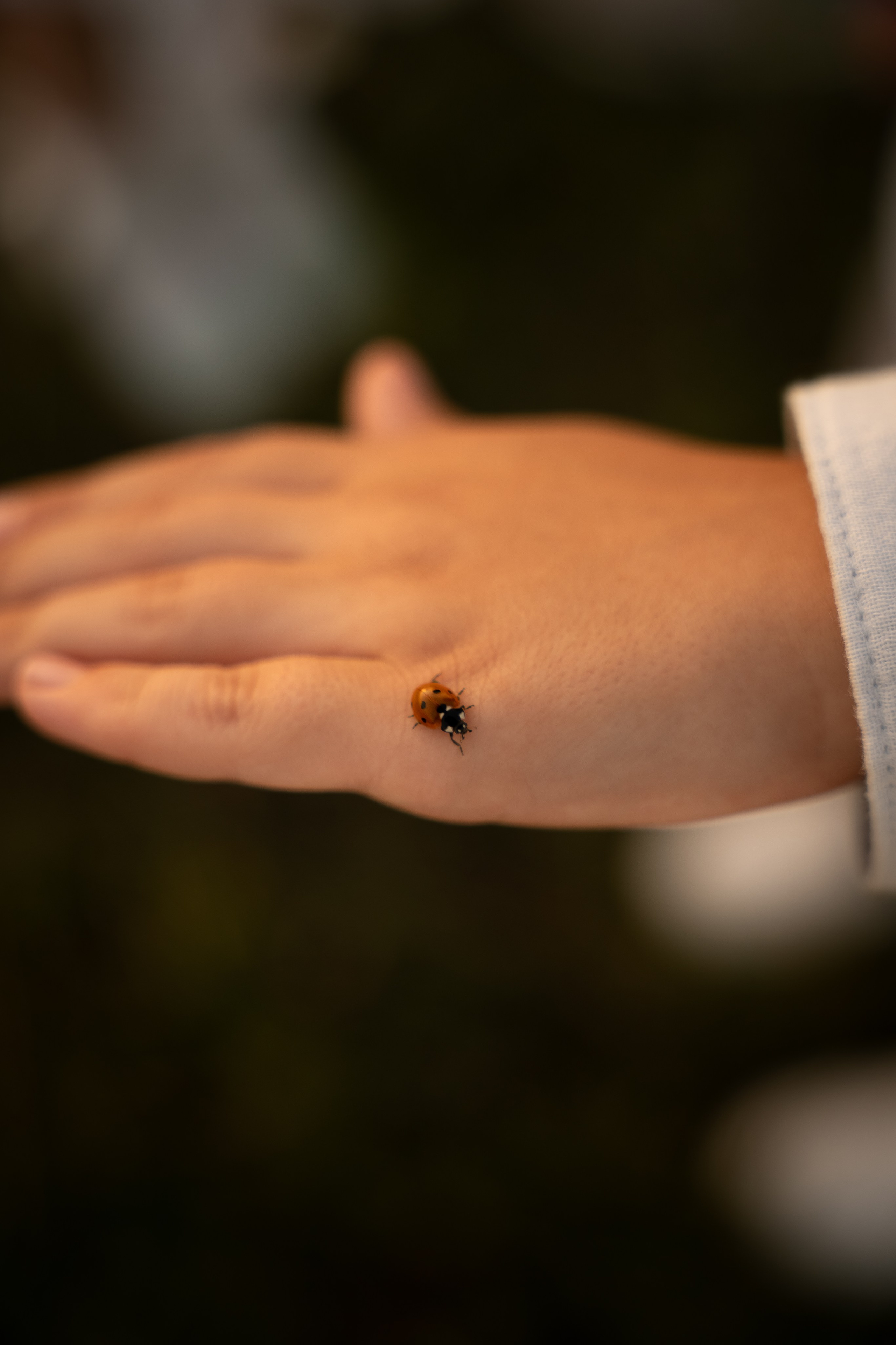 Брат и сестрёнка. Фотограф в Ульяновске Александра Григоровских