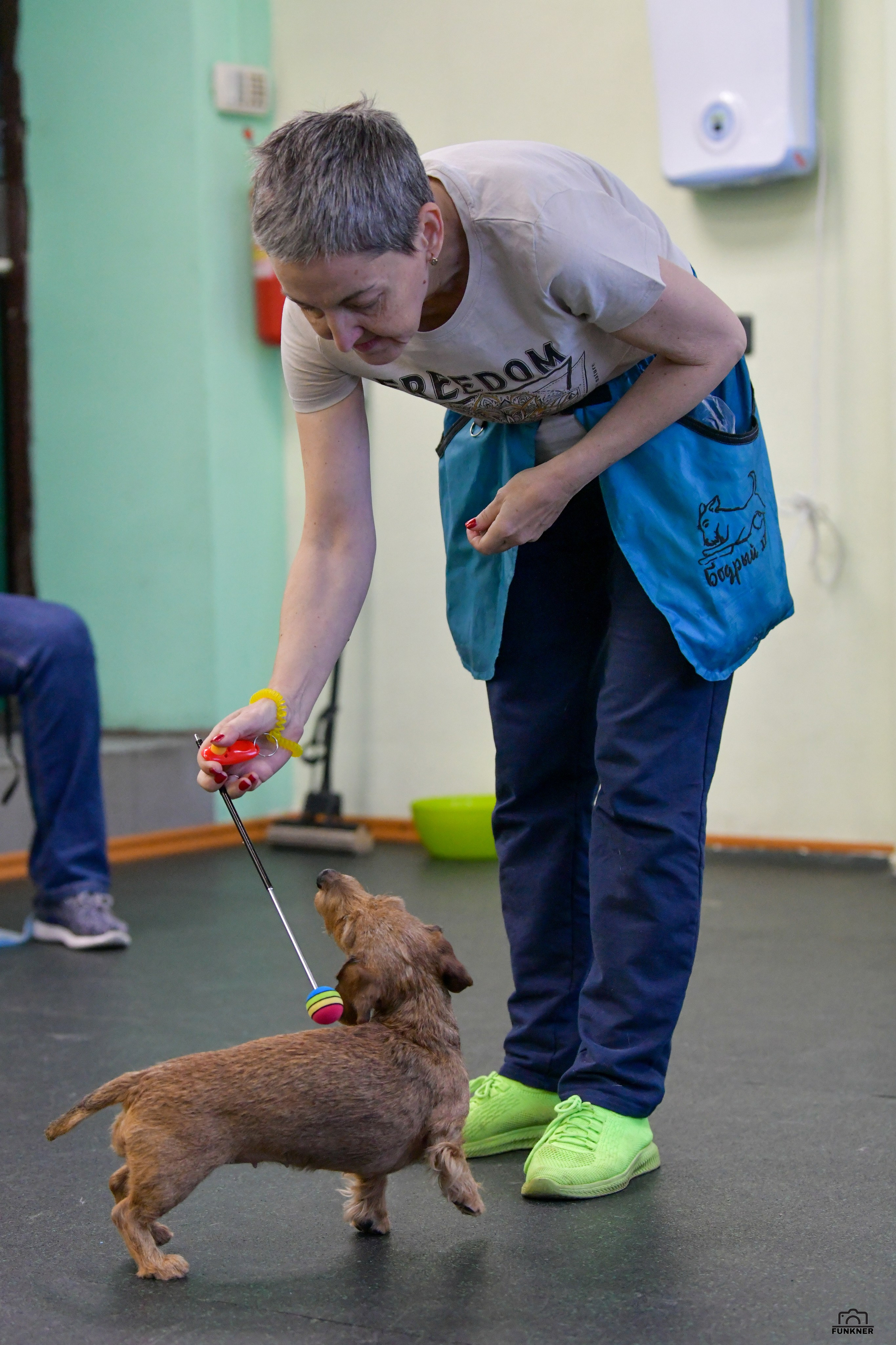 Кинологический клуб «Бодрый хвост». Свой взгляд через объектив