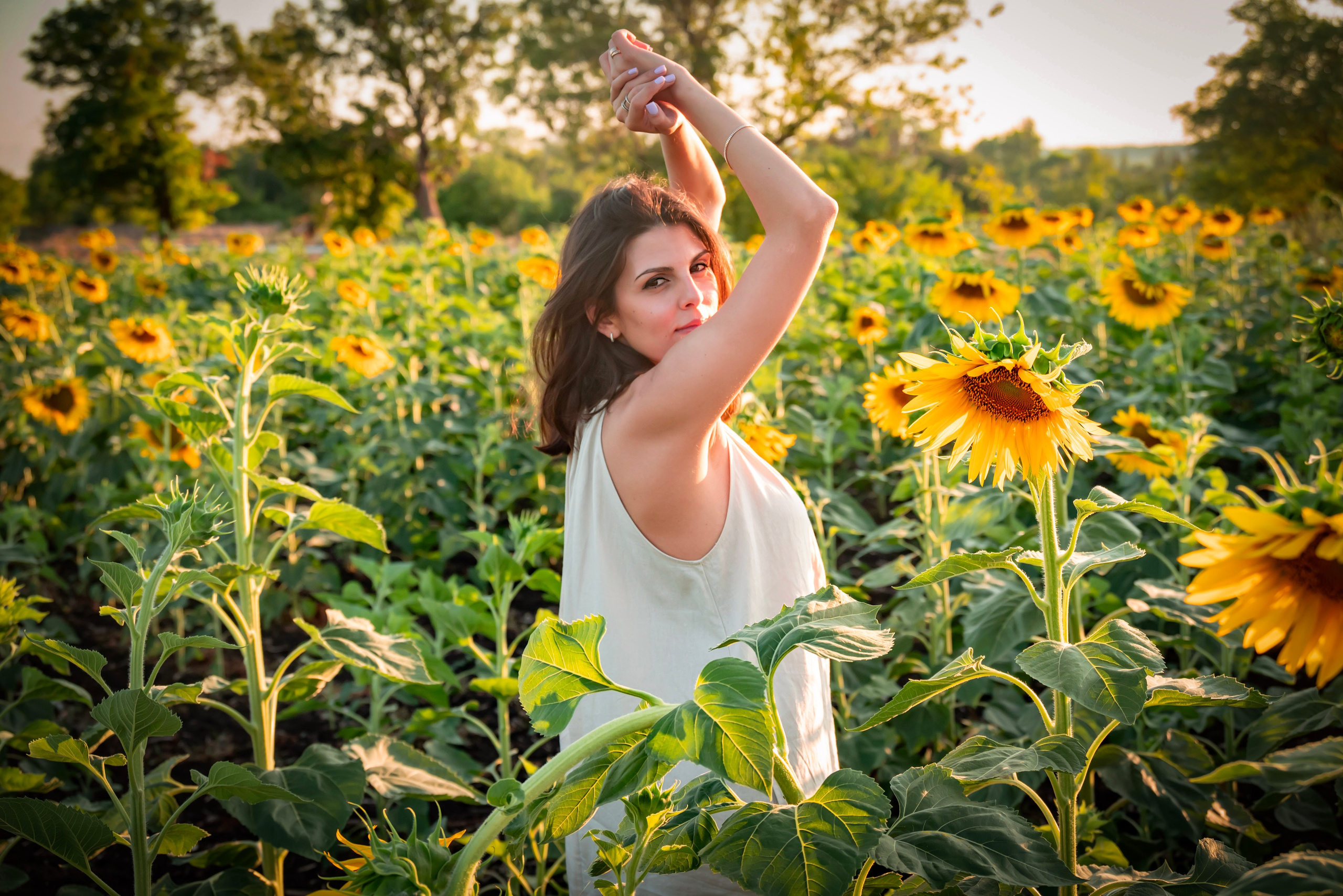 Летняя прогулка. Главная