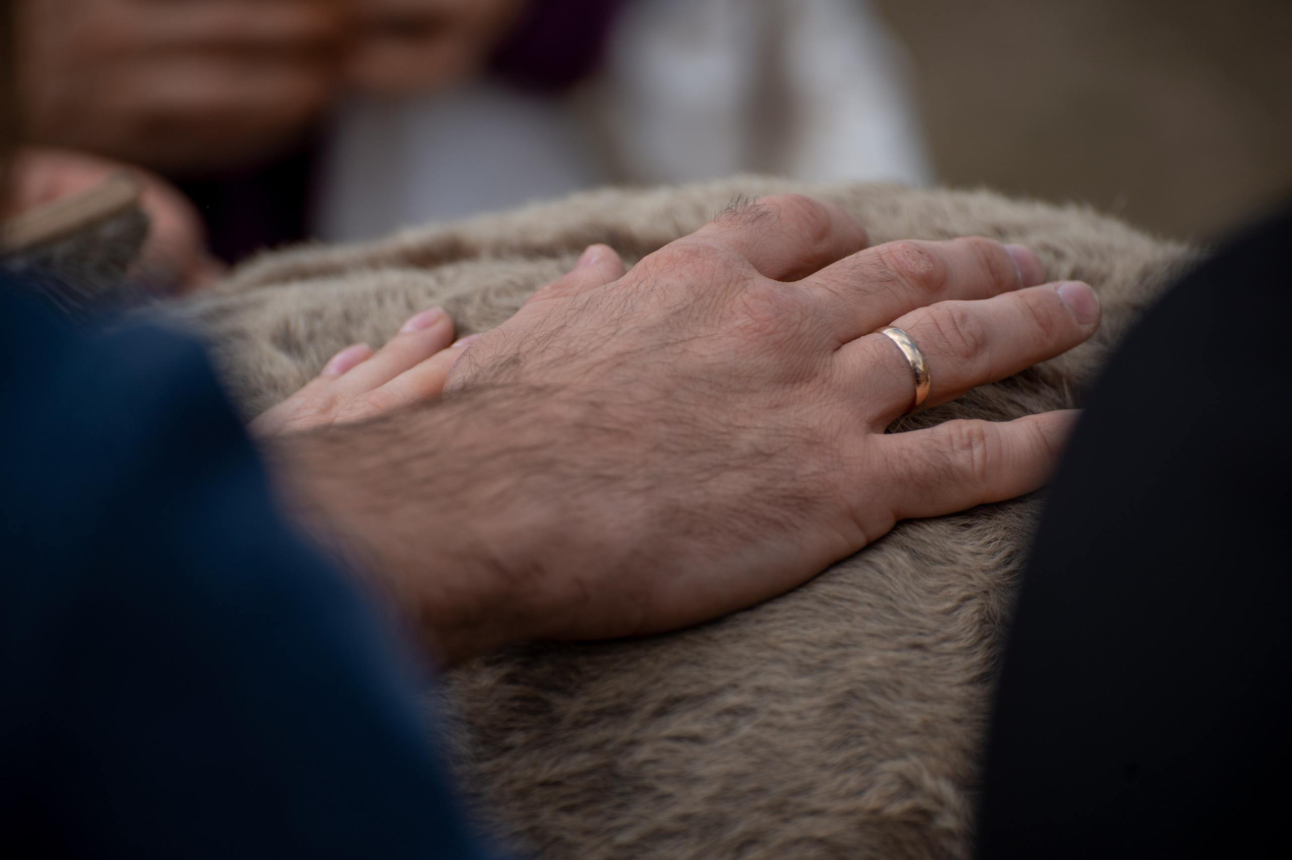 Гости в Родославном. Конный фотограф в Саратове Юлия Иванова
