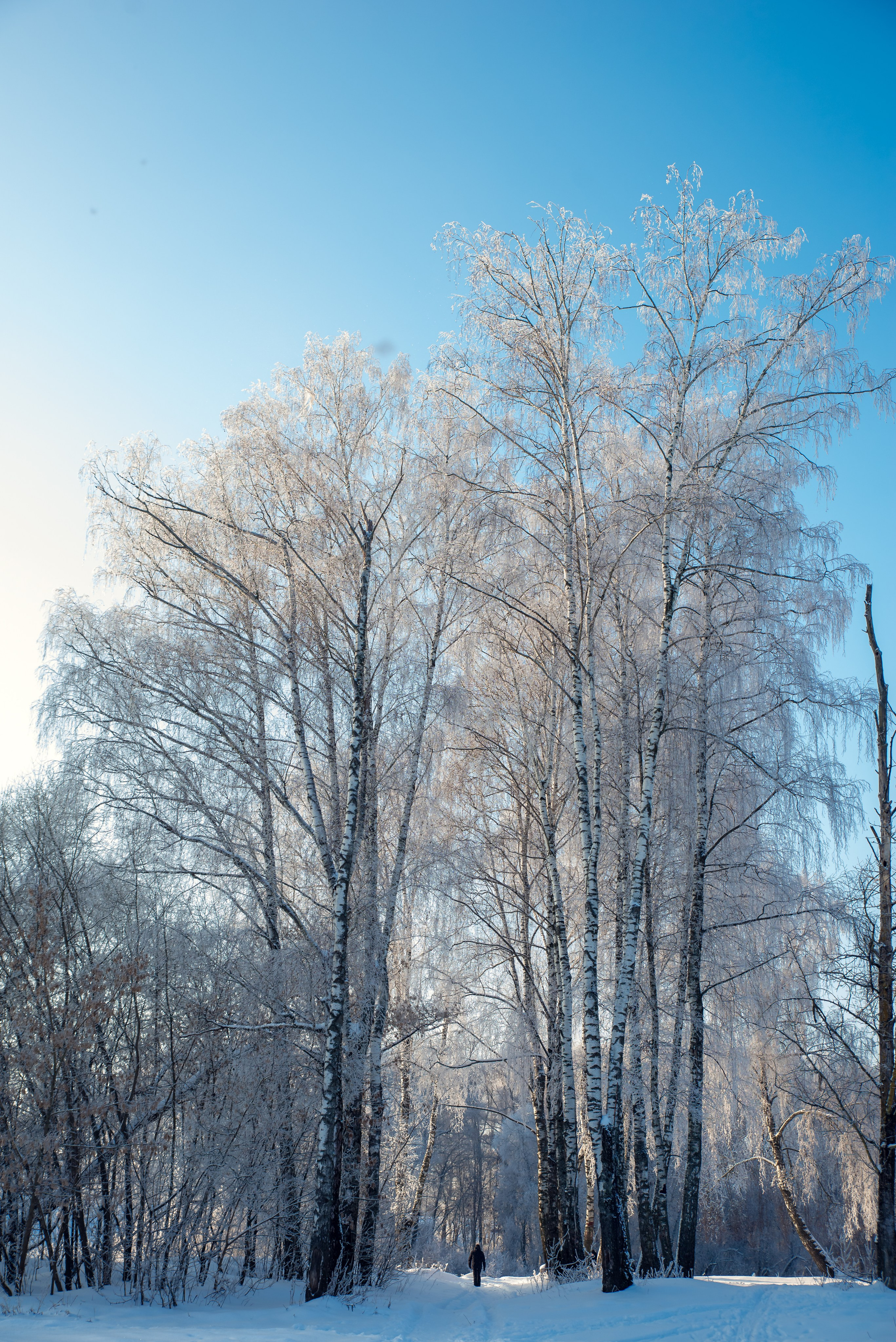 Зимушка зима. Фотограф Крещение Венчание Москва