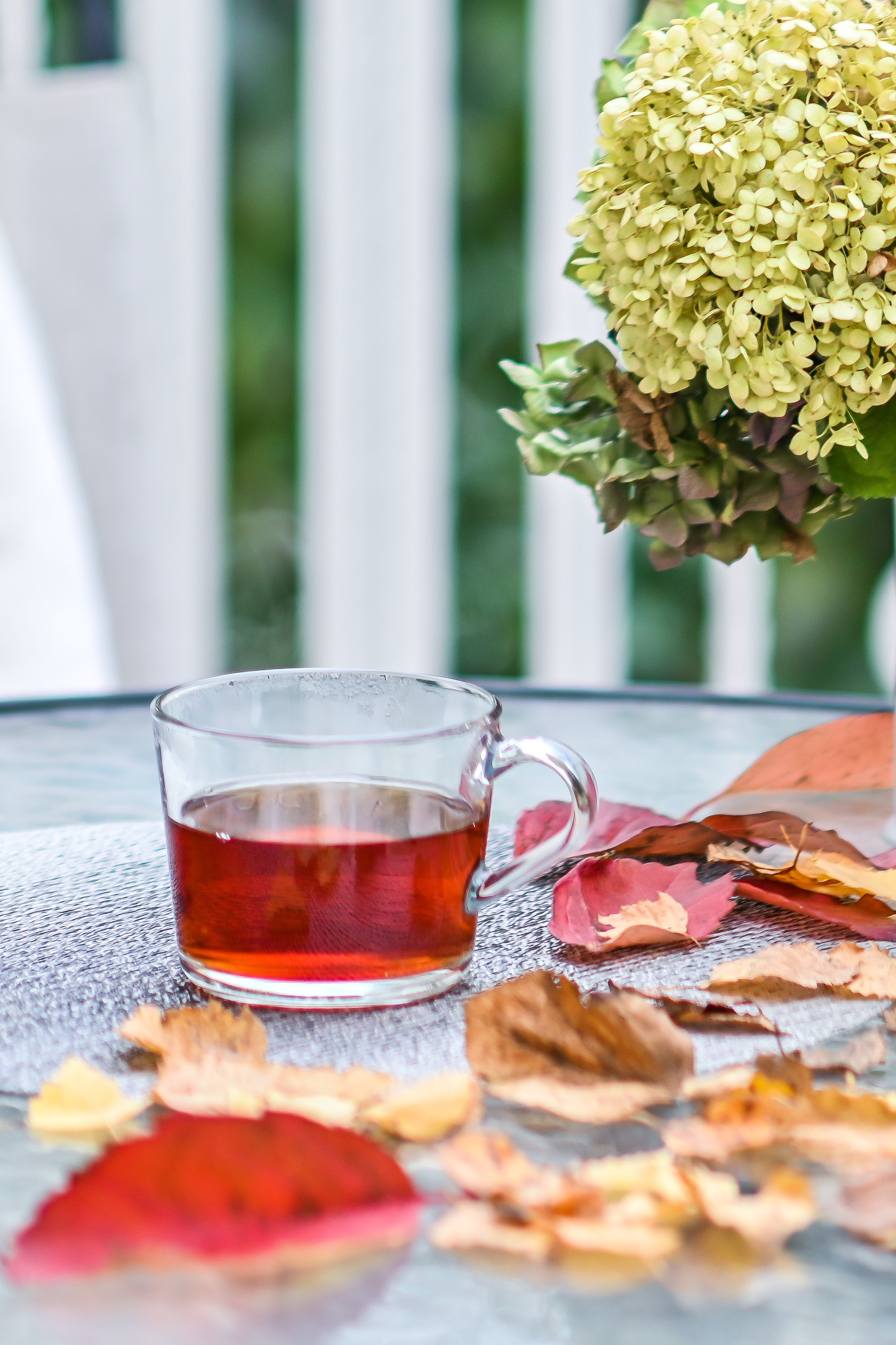 ФОТОСЪЕМКА ОСЕННИХ ПУБЛИКАЦИЙ. Фотограф для бизнесконтента, репортажей и семейного альбома в Москве