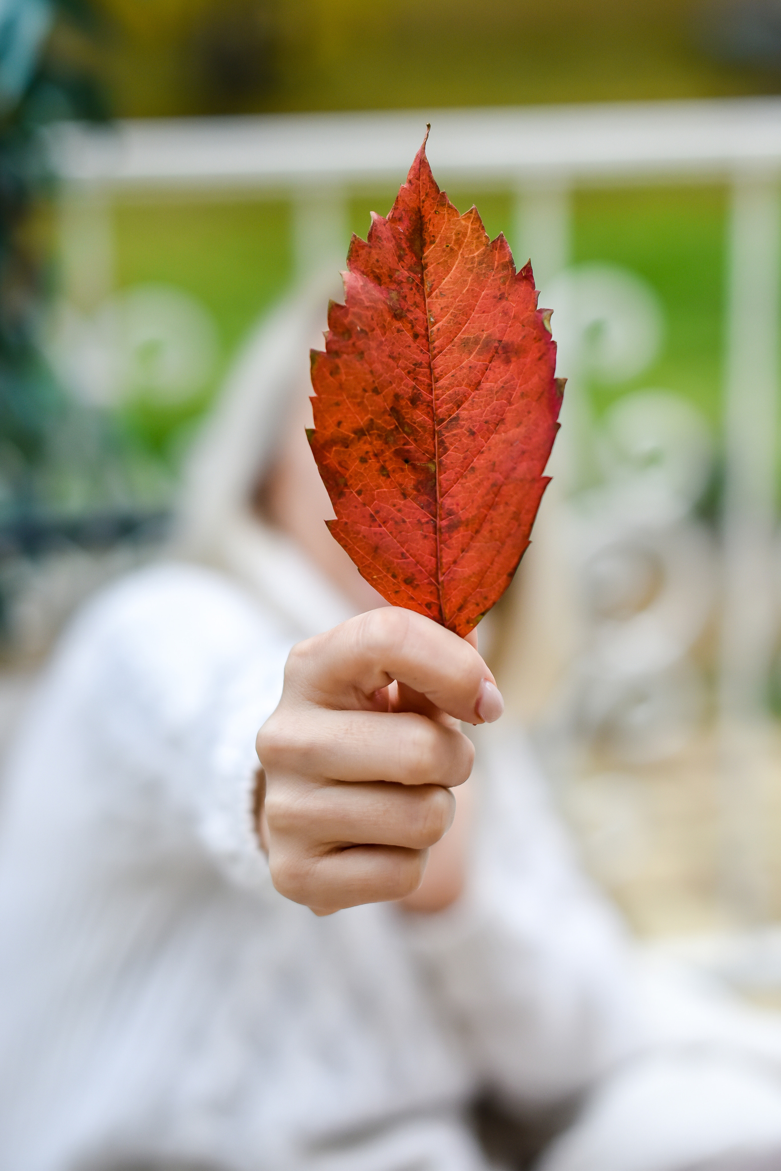 ФОТОСЪЕМКА ОСЕННИХ ПУБЛИКАЦИЙ. Фотограф для бизнесконтента, репортажей и семейного альбома в Москве
