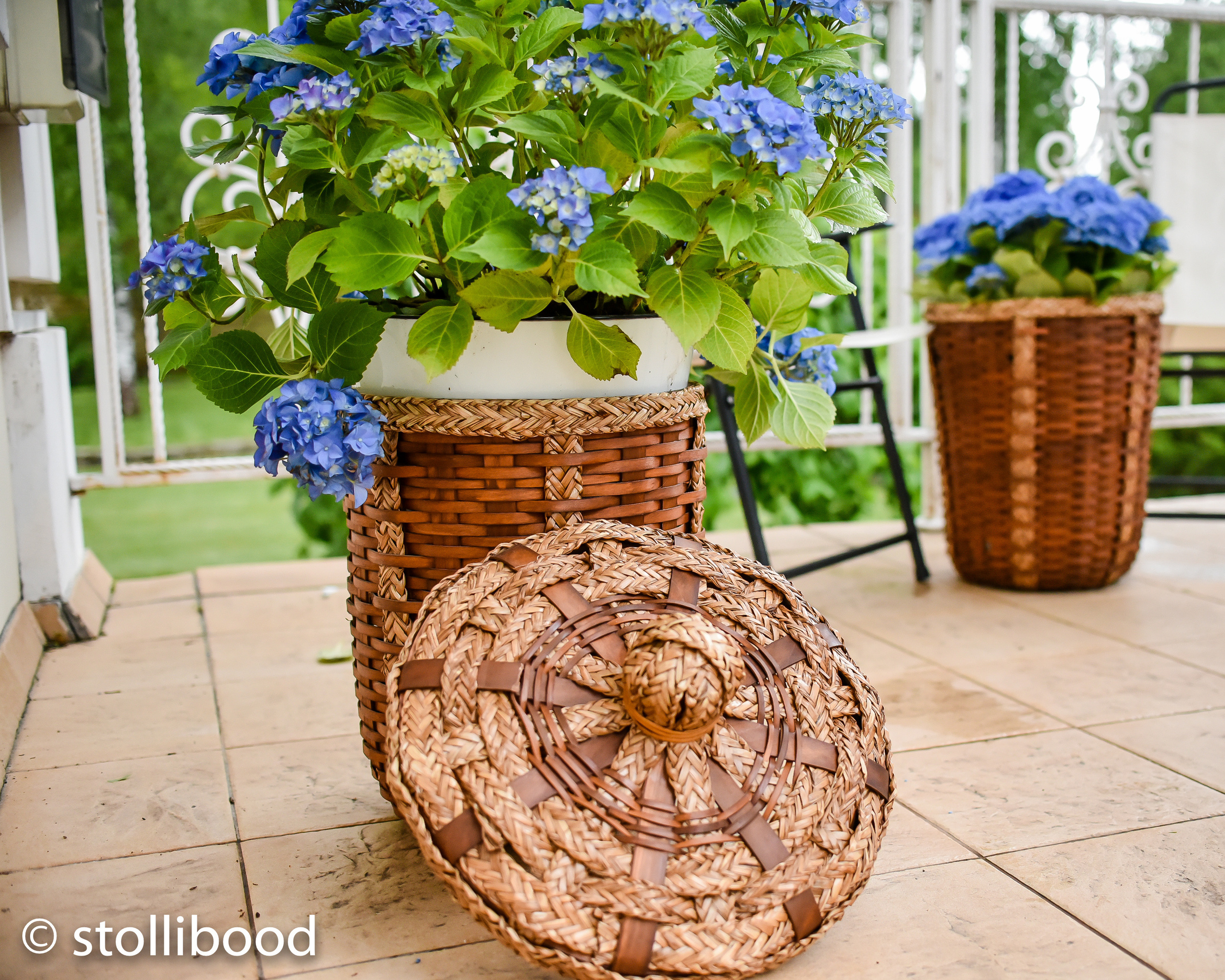 Летняя фотосъемка в Москве. Фотограф для бизнесконтента, репортажей и семейного альбома в Москве