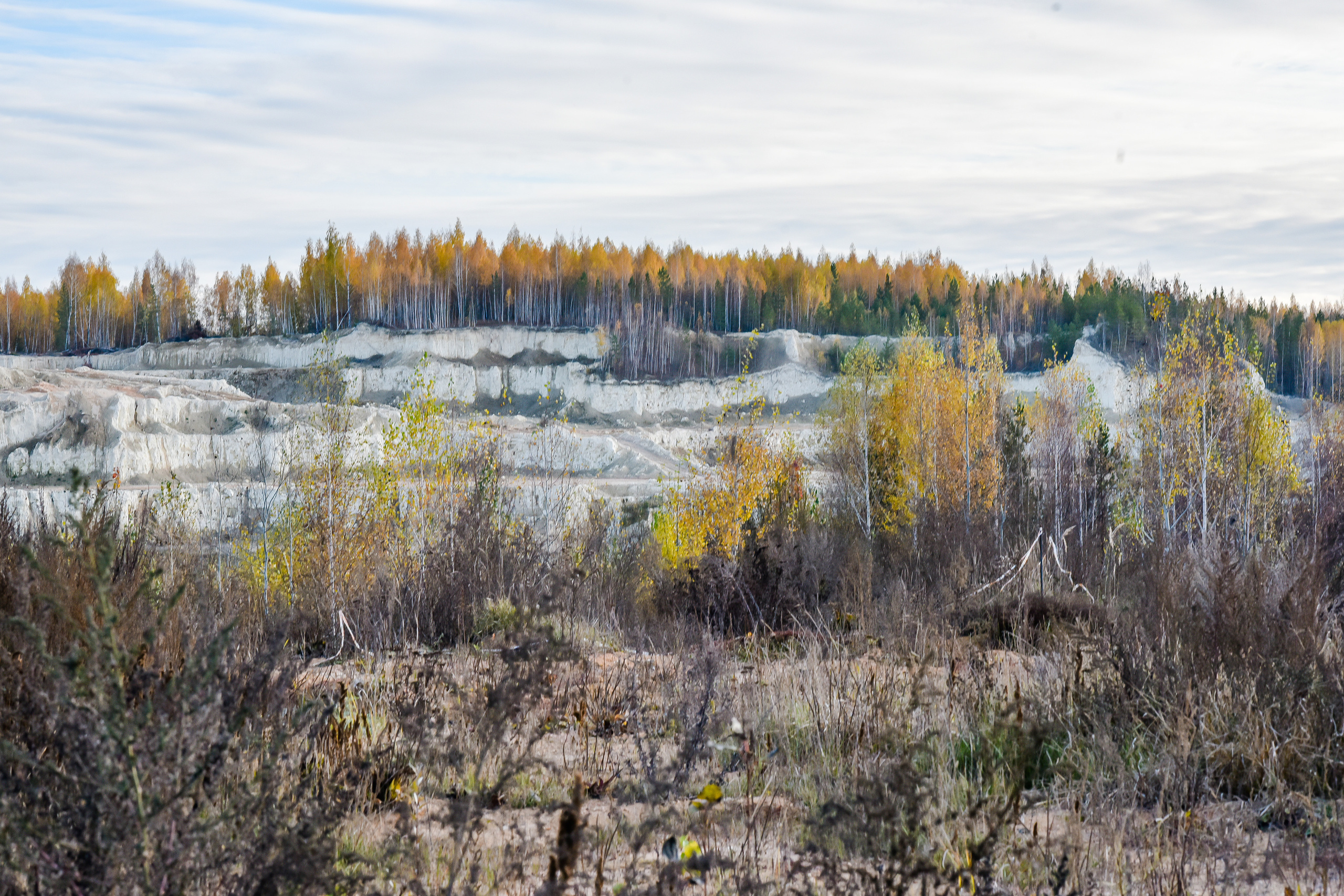 МИР ОСЕНИ. Фотограф для бизнесконтента, репортажей и семейного альбома в Москве