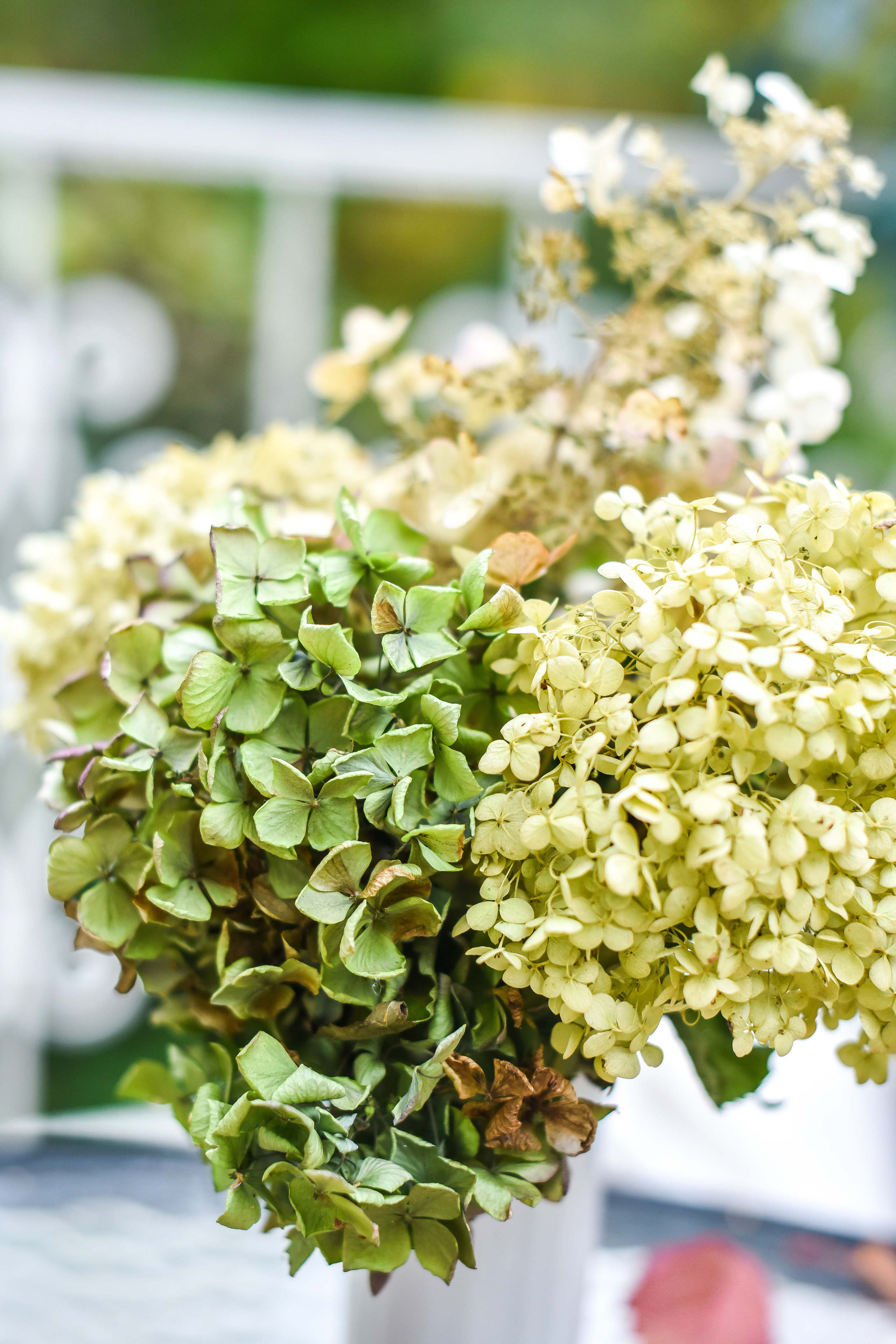 ФОТОСЪЕМКА ОСЕННИХ ПУБЛИКАЦИЙ. Фотограф для бизнесконтента, репортажей и семейного альбома в Москве