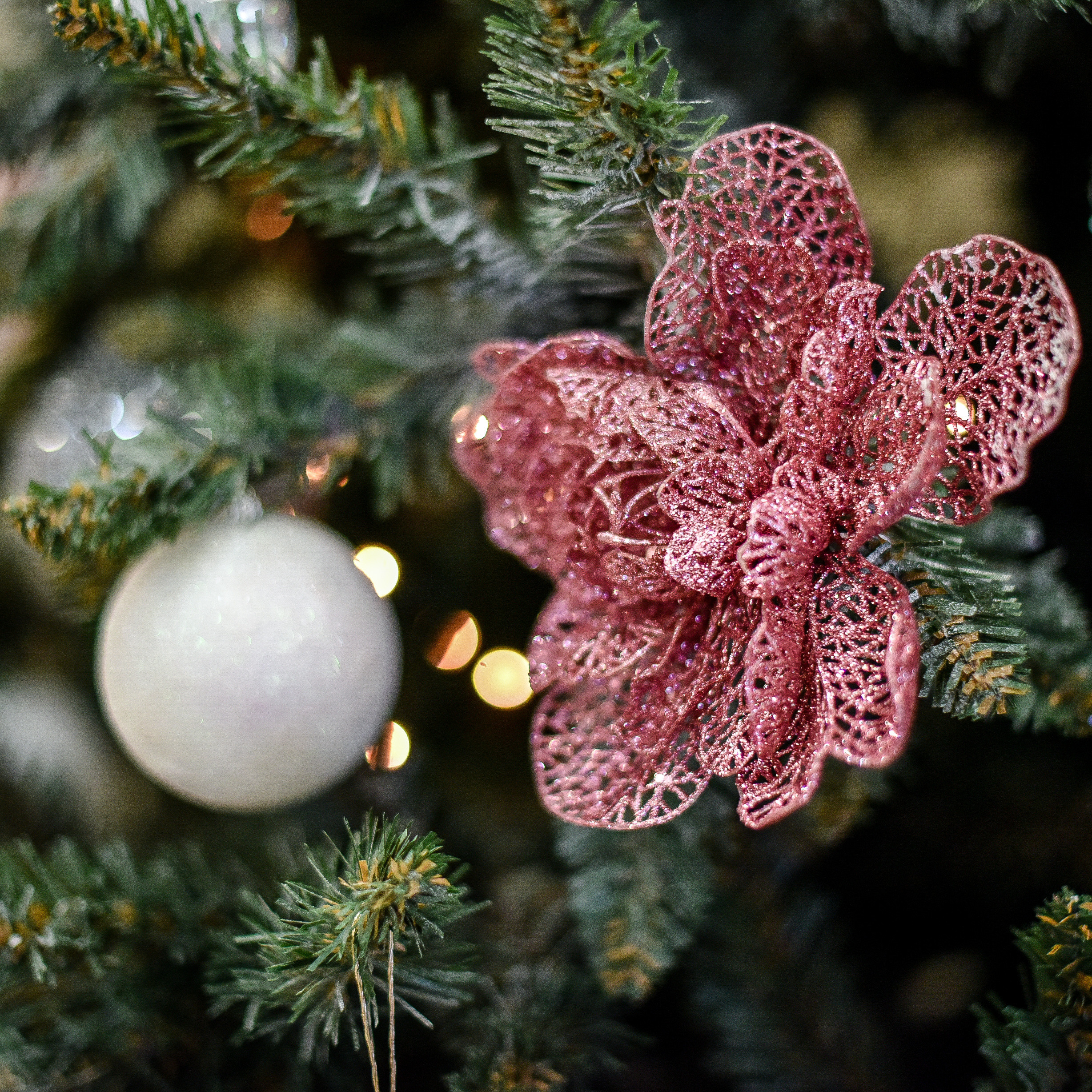 Новогодняя съемка в Москве. Фотограф для бизнесконтента, репортажей и семейного альбома в Москве