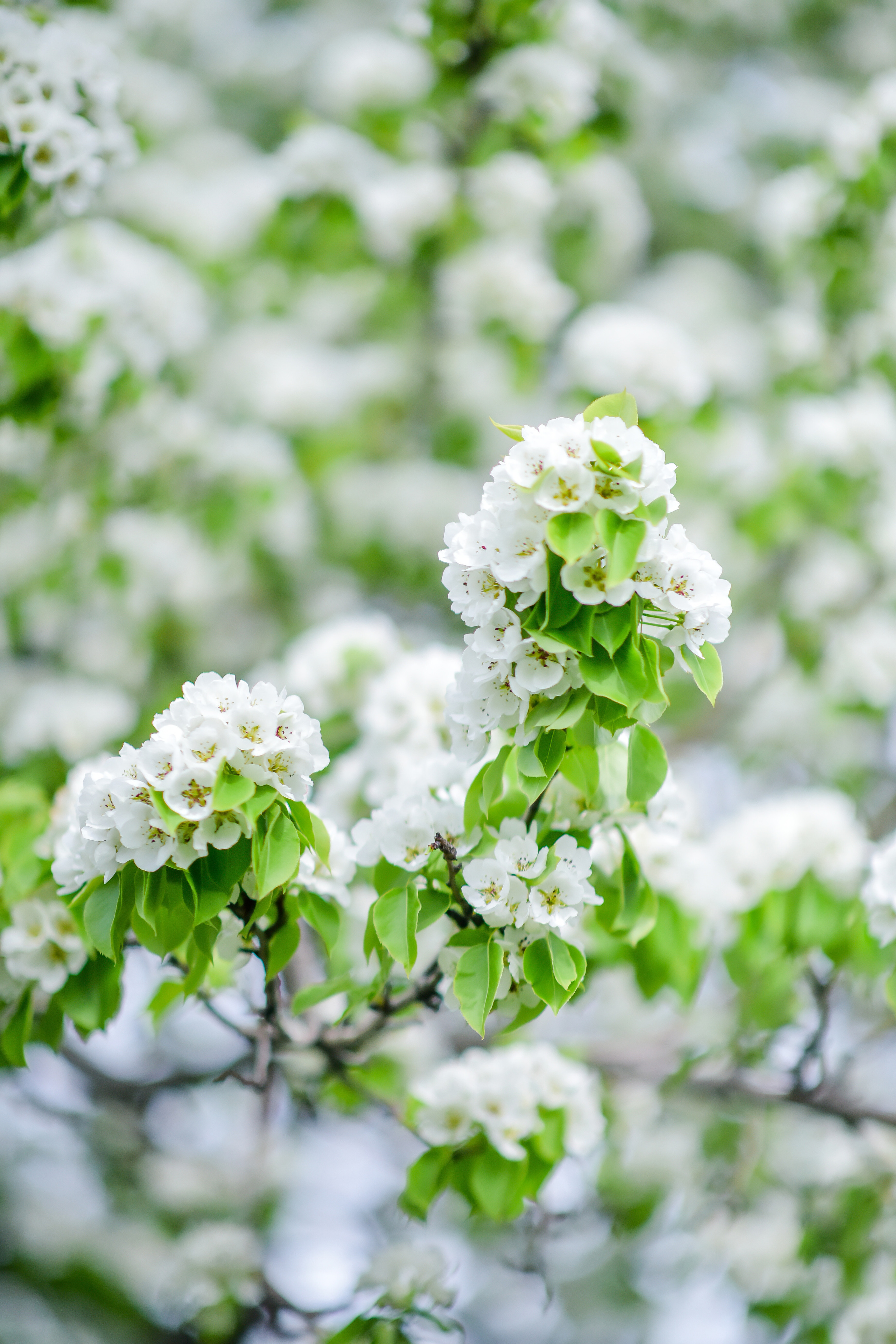 Фотограф для фотосессии в Обручевском районе. Фотограф для бизнесконтента, репортажей и семейного альбома в Москве