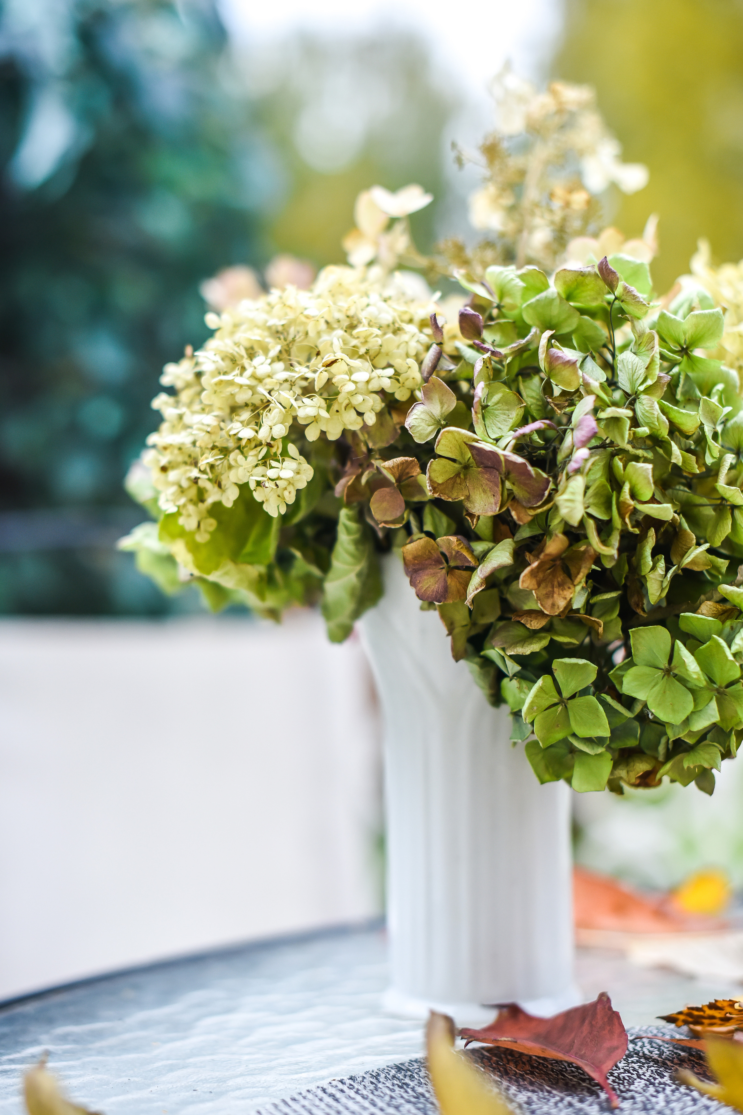 ФОТОСЪЕМКА ОСЕННИХ ПУБЛИКАЦИЙ. Фотограф для бизнесконтента, репортажей и семейного альбома в Москве