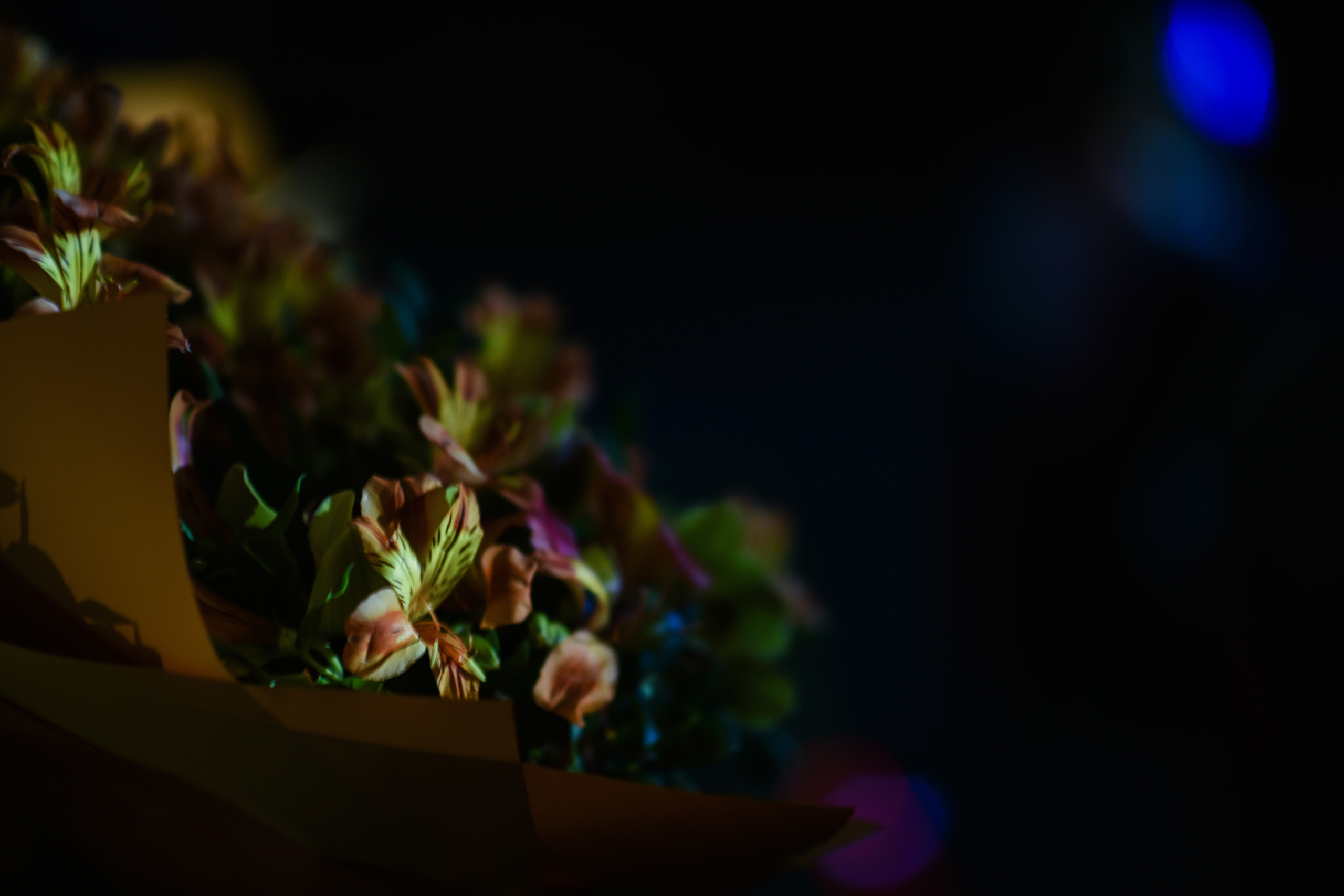 КОНЦЕРТ ПАМЯТИ ЗИНОВЬЕВА. Фотограф для бизнесконтента, репортажей и семейного альбома в Москве