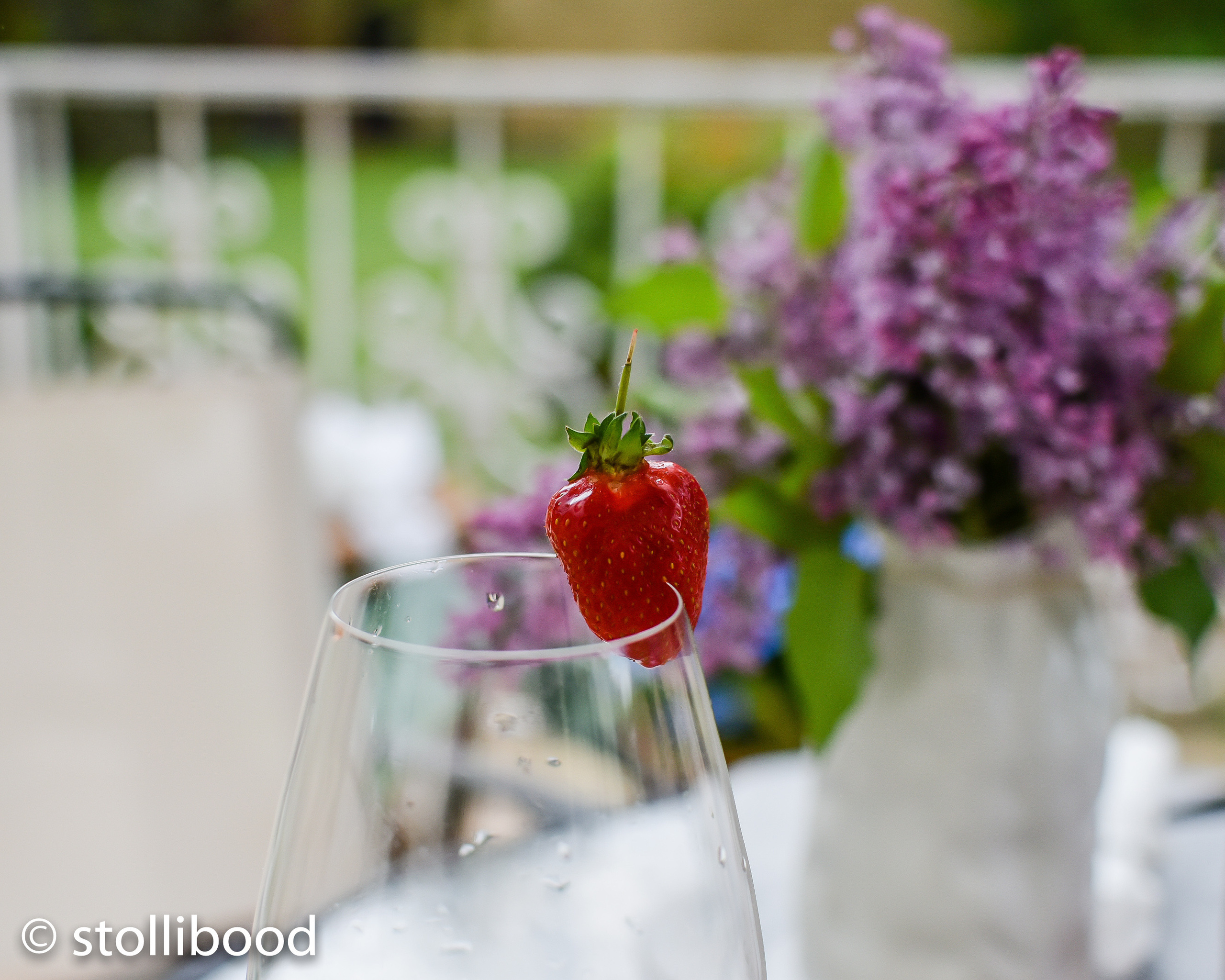 Летняя фотосъемка в Москве. Фотограф для бизнесконтента, репортажей и семейного альбома в Москве