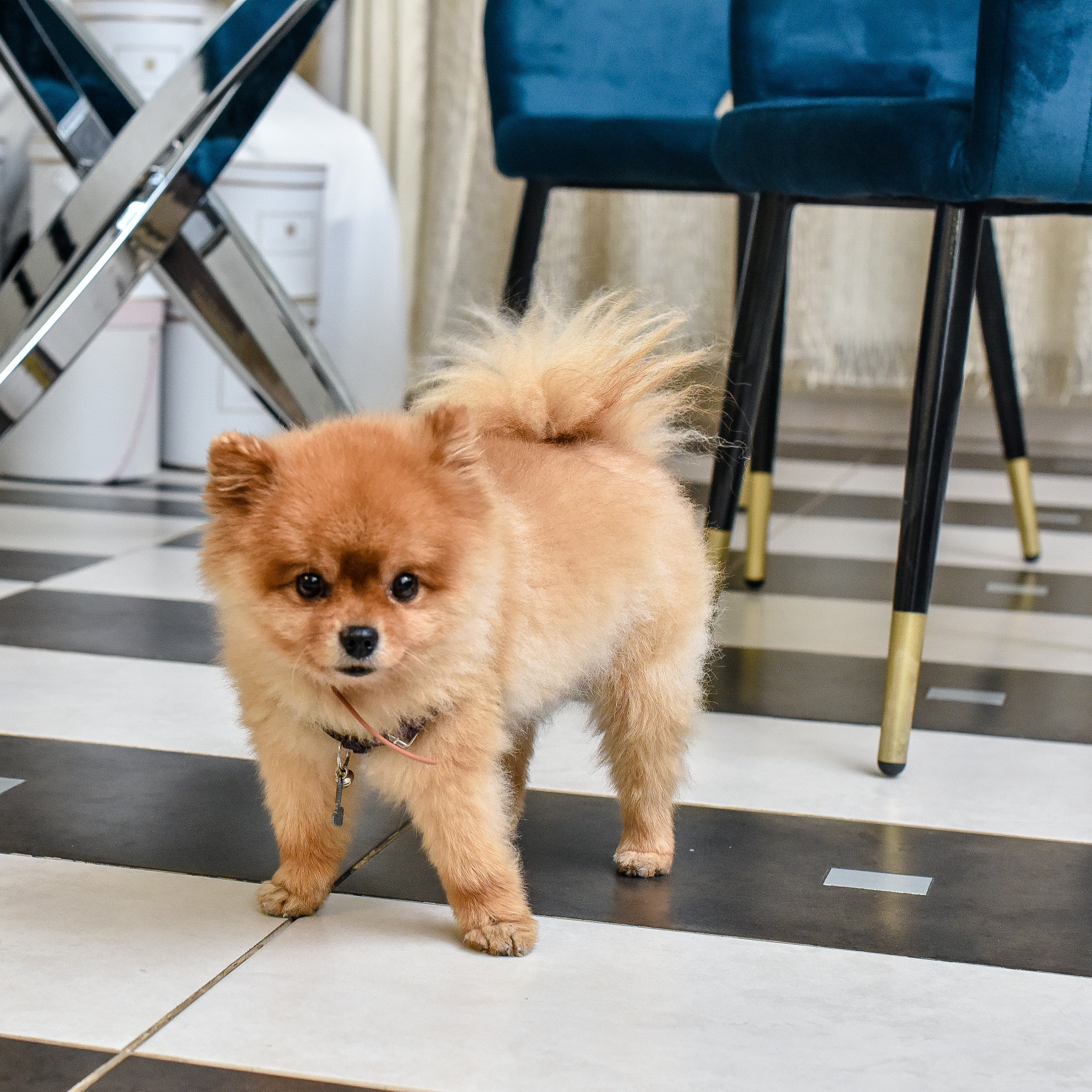 Новогодняя съемка в Москве. Фотограф для бизнесконтента, репортажей и семейного альбома в Москве
