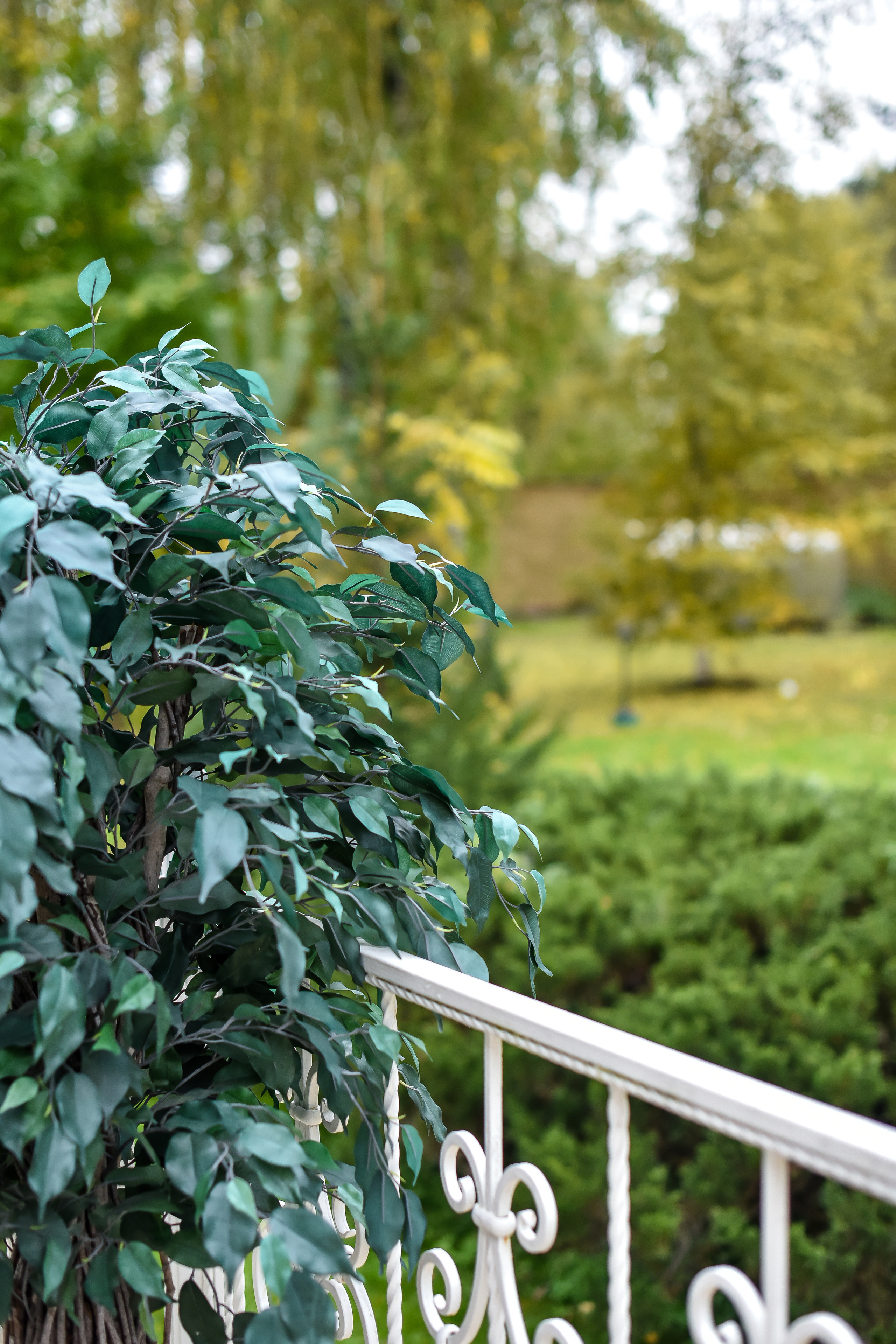 ФОТОСЪЕМКА ОСЕННИХ ПУБЛИКАЦИЙ. Фотограф для бизнесконтента, репортажей и семейного альбома в Москве