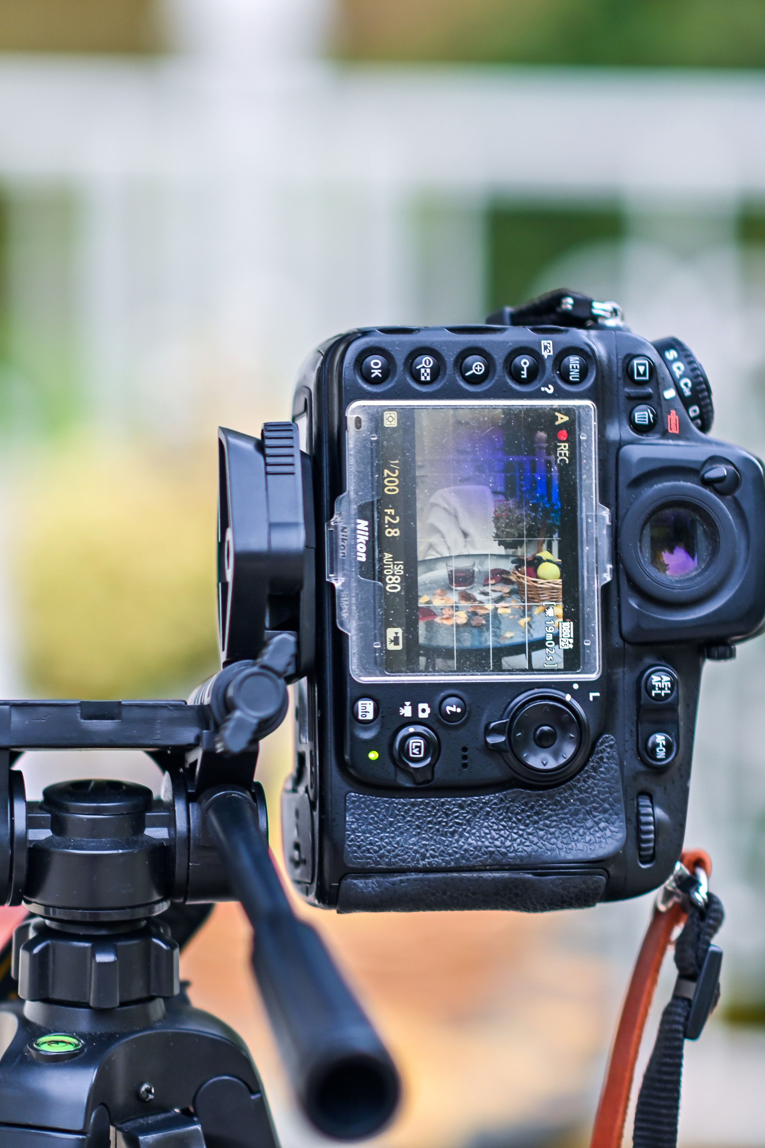 ФОТОСЪЕМКА ОСЕННИХ ПУБЛИКАЦИЙ. Фотограф для бизнесконтента, репортажей и семейного альбома в Москве