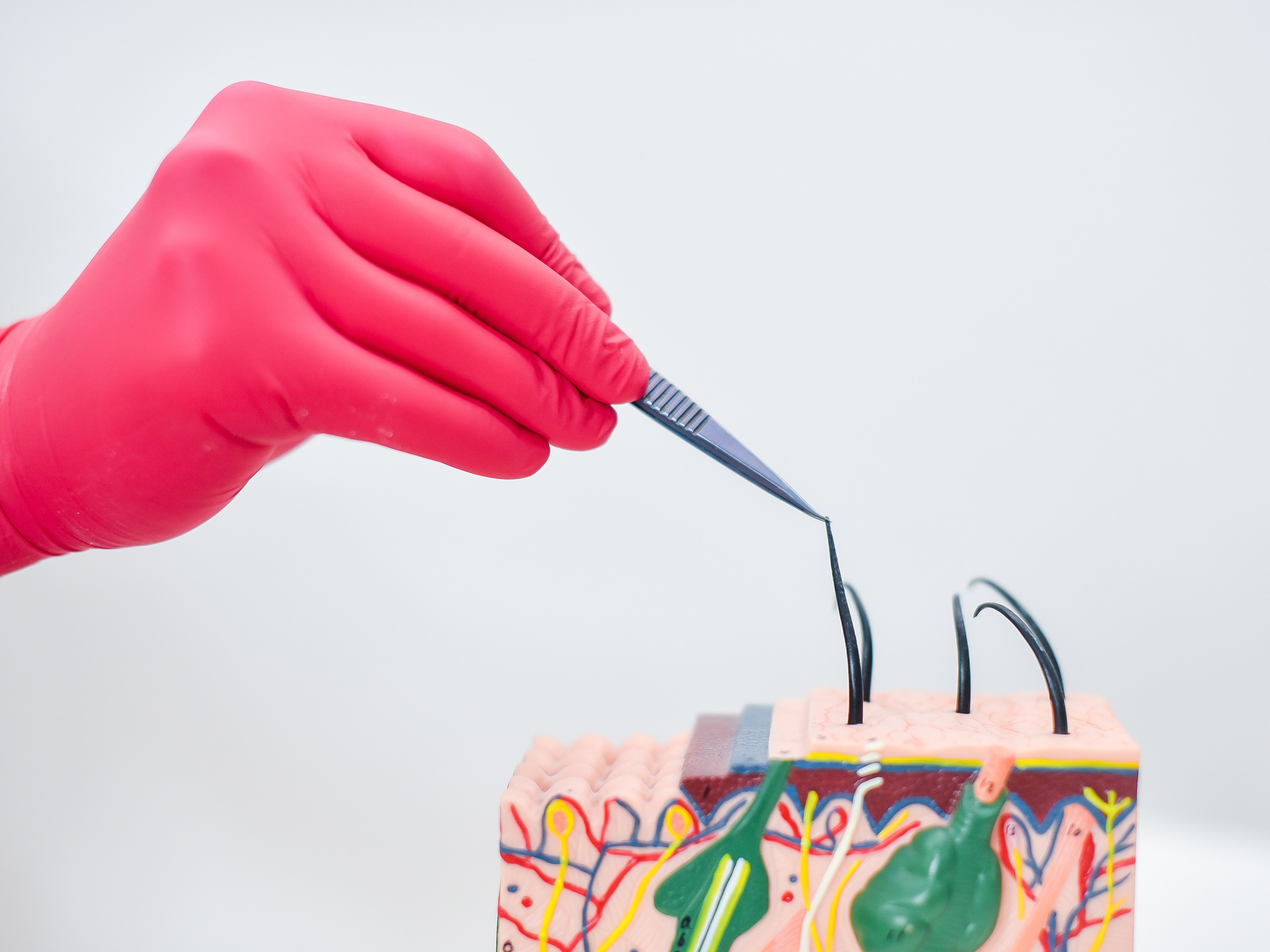 ФОТОСЪЕМКА в САЛОНЕ ЭПИЛЯЦИИ. Фотограф для бизнесконтента, репортажей и семейного альбома в Москве