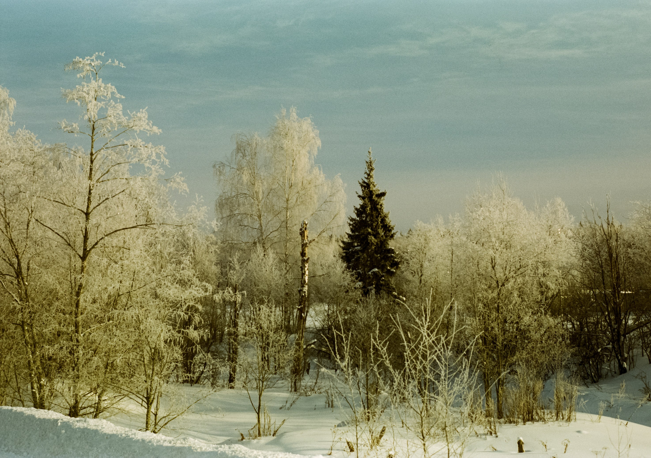 Pentax MZ-3 (1) объектив Schneider-Kreuznach Retina-Xenon 50 mm f/1.9 D