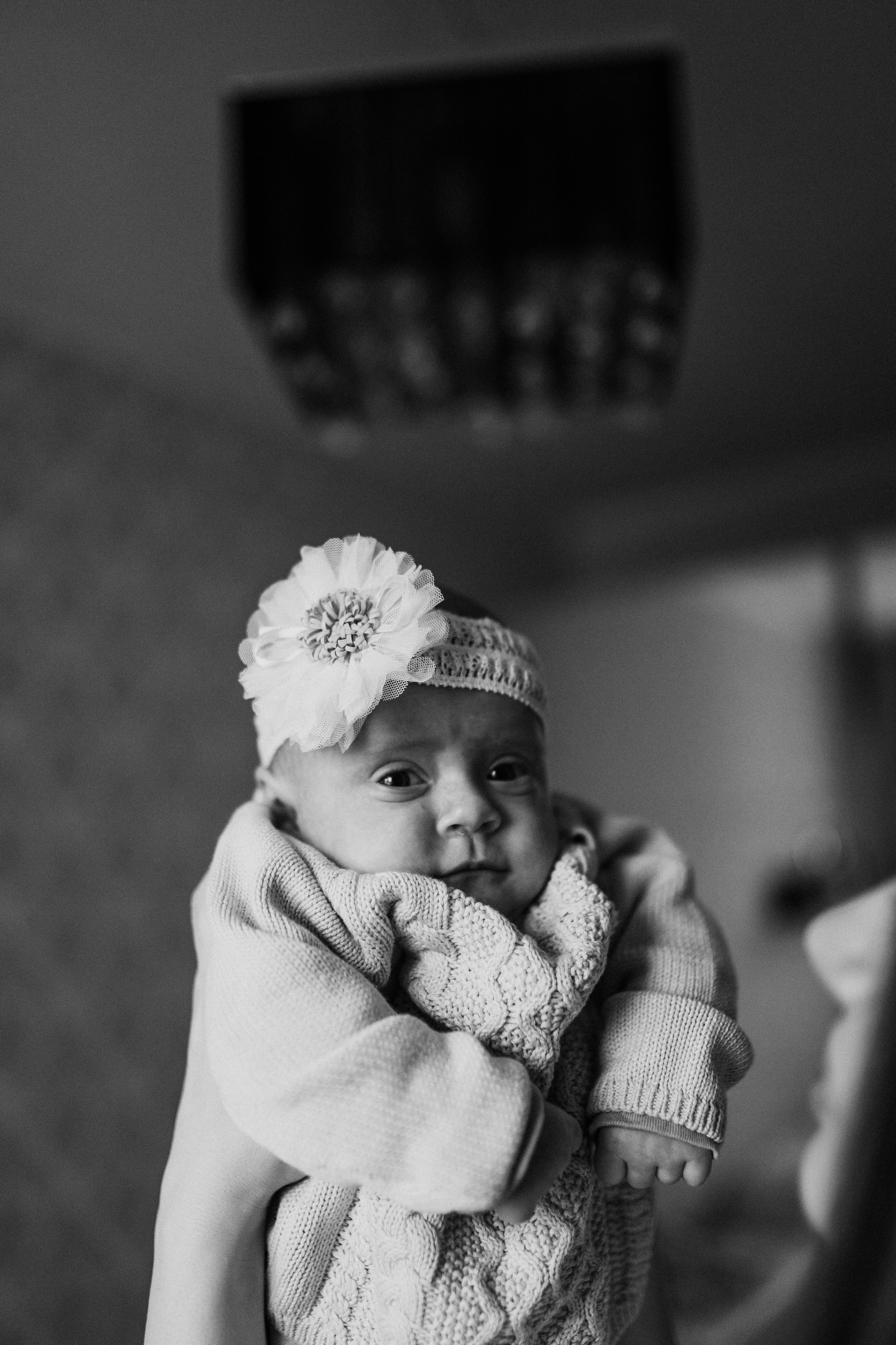 Эвелина, Леша, Афина, Ангелина. Семейный фотограф Москва