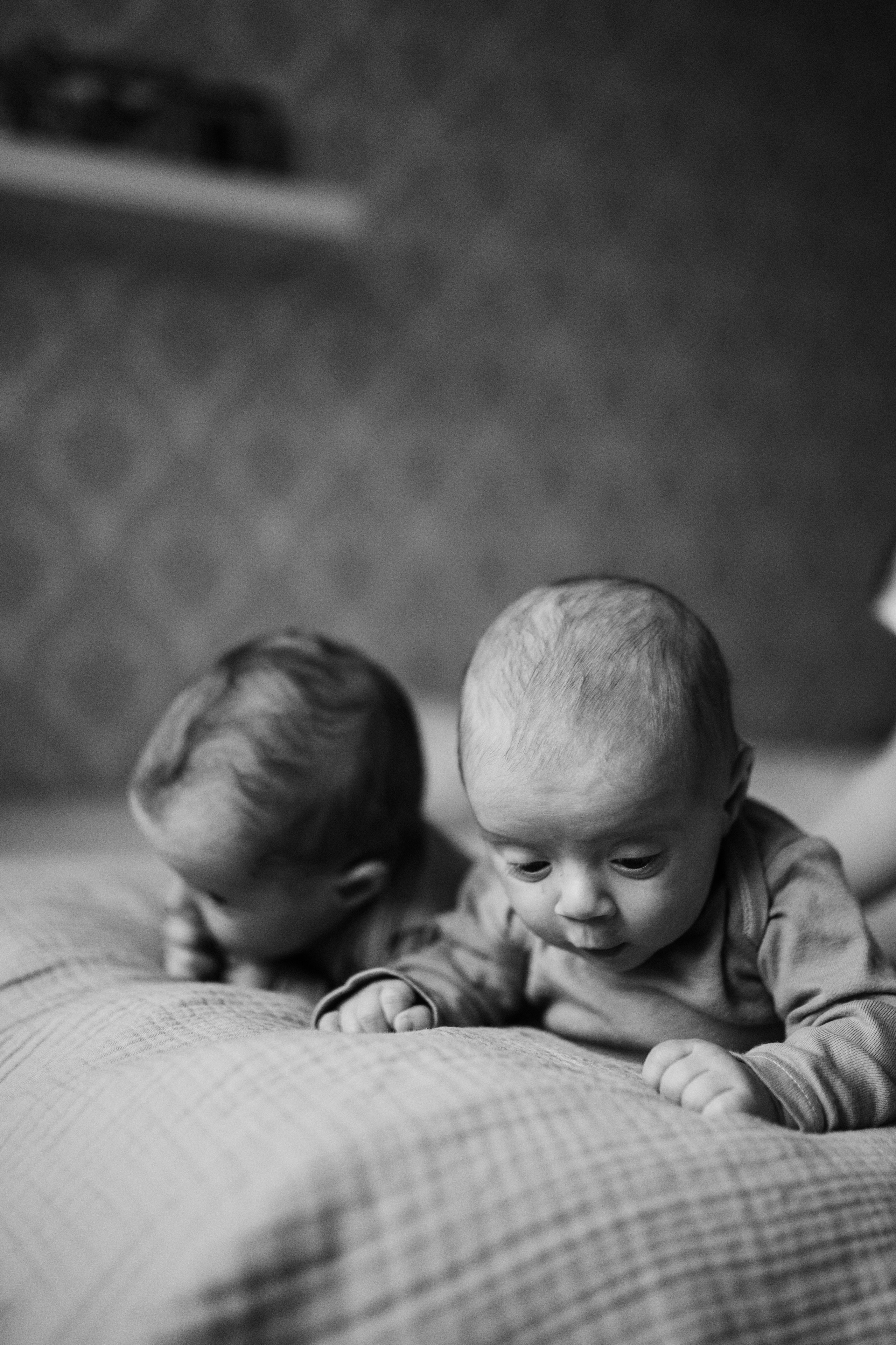 Эвелина, Леша, Афина, Ангелина. Семейный фотограф Москва