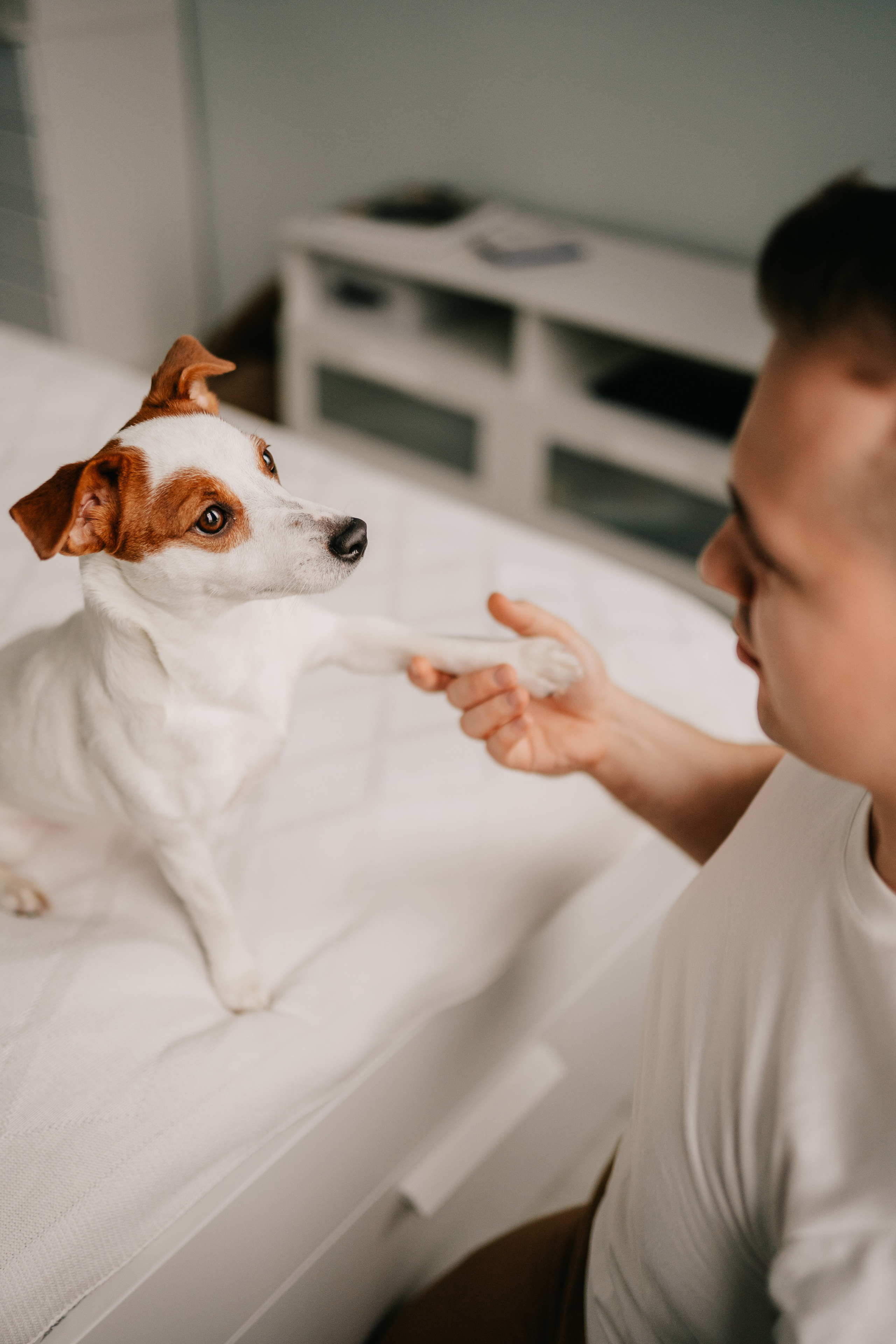 Алёна, Ваня, Полина. Семейный фотограф Москва