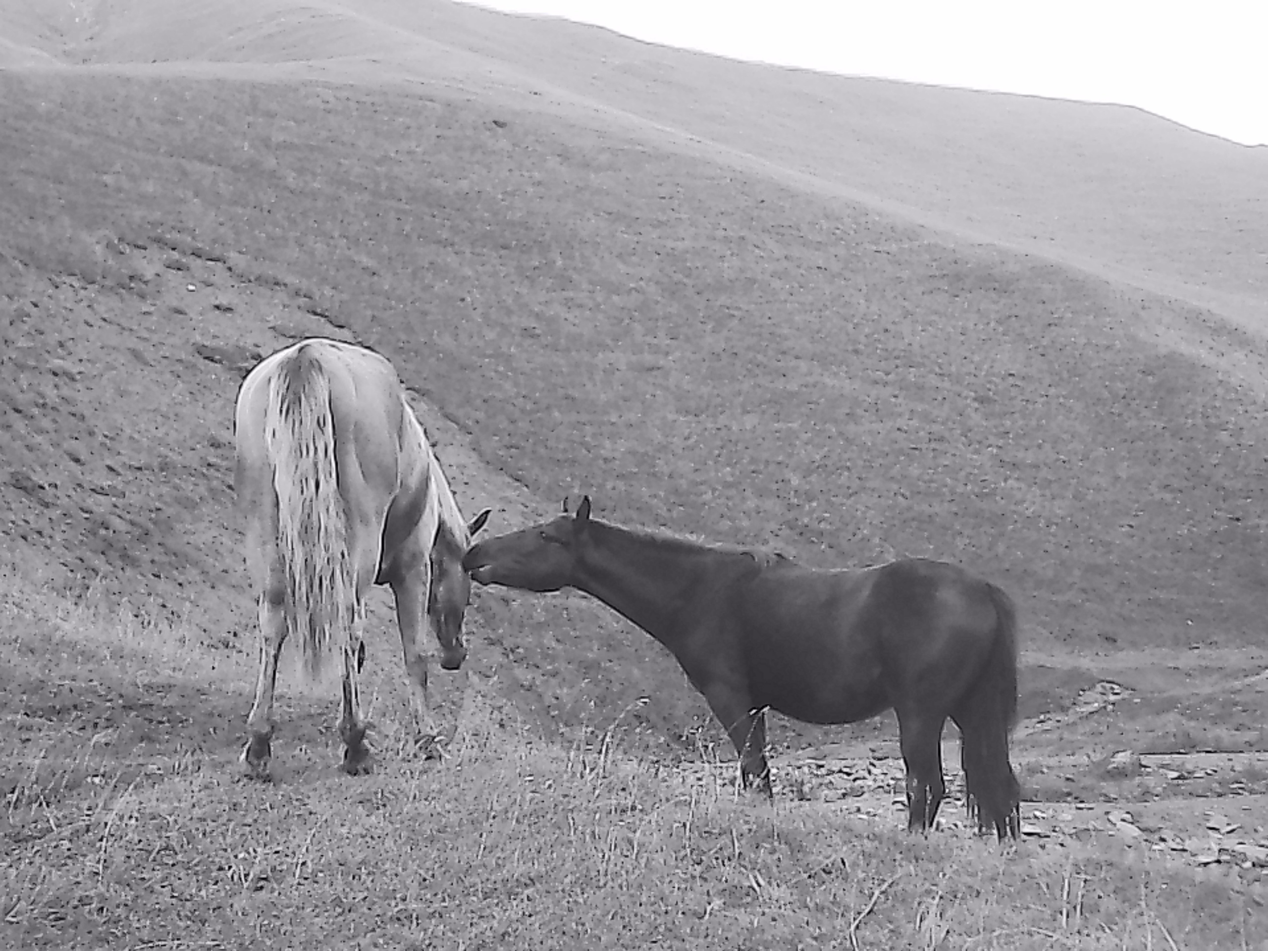 «Крошка 🐣». Anita_photo