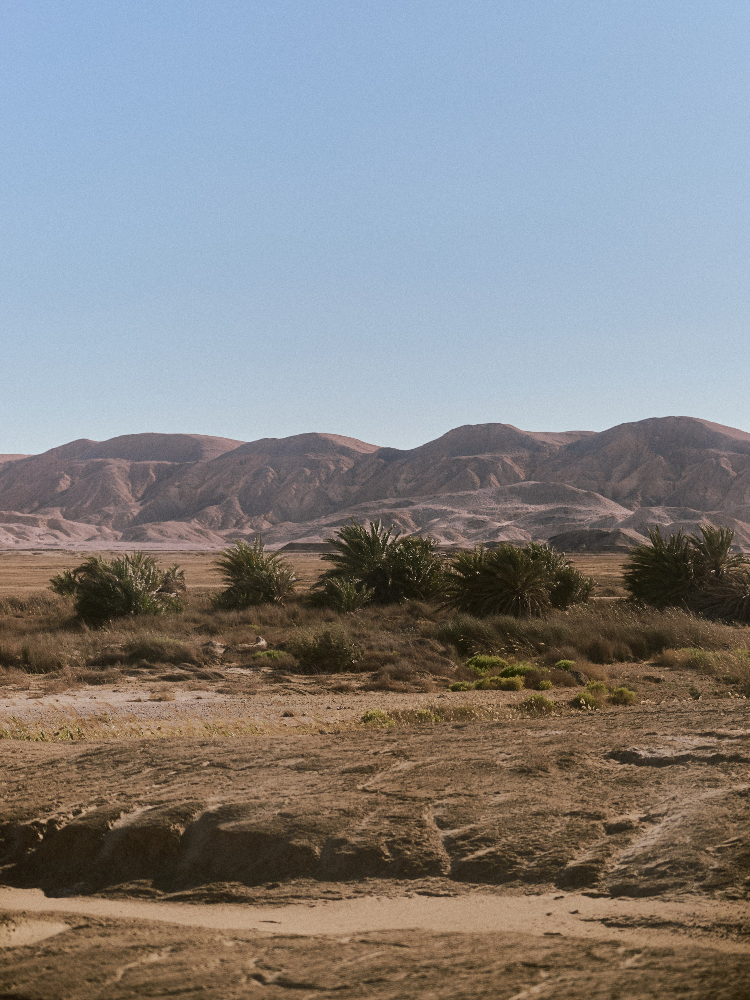 Природа. Jorgis Talè — photographer, kind person, teacher of arts and other mag