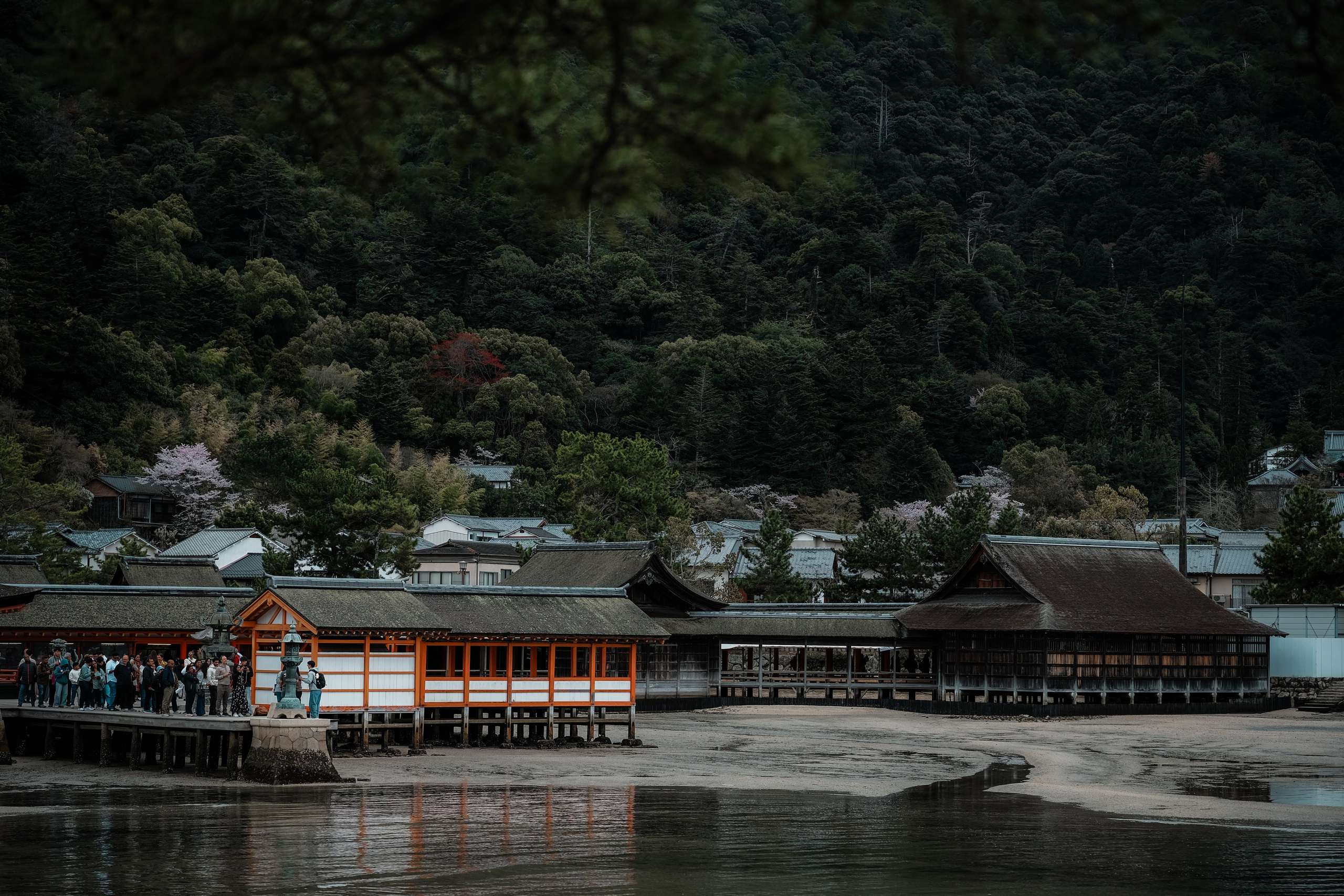 Nippon. Главная