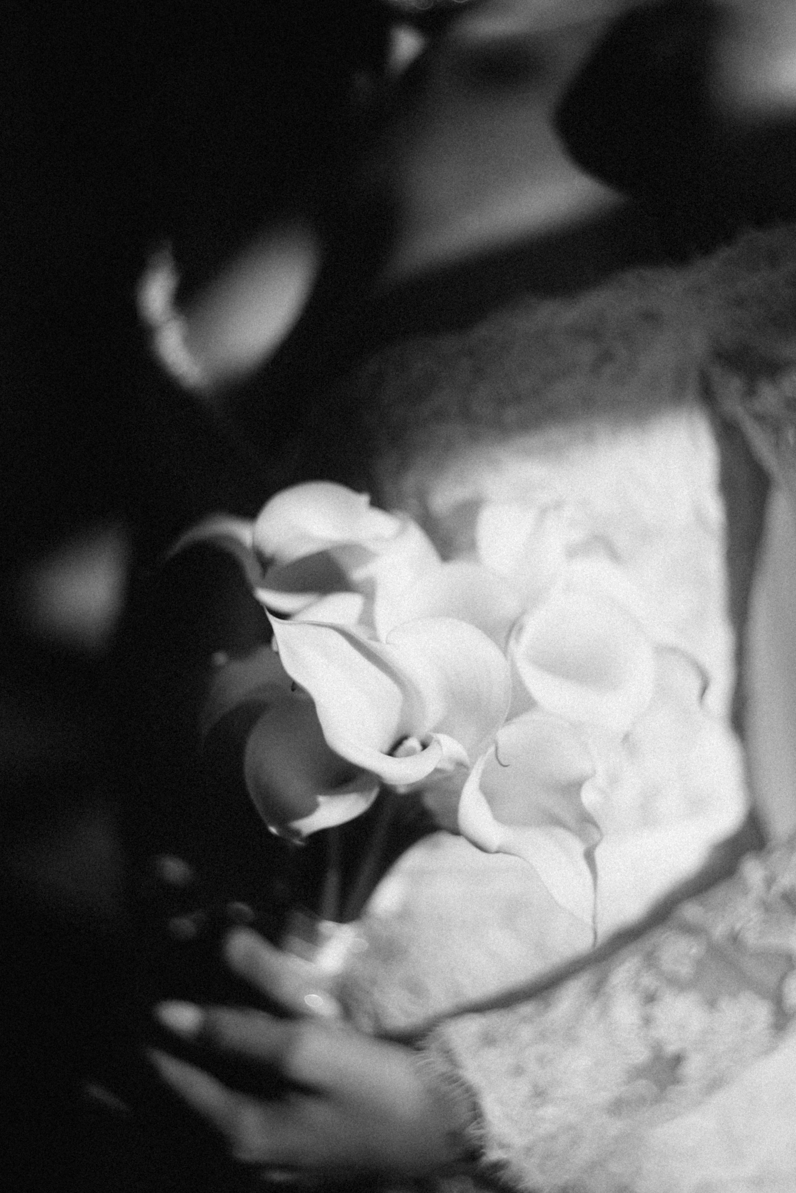 Марина&Юрий фотограф Елена Горбач. Свадебный и семейный фотограф город Темрюк Фотостудия Темрюк